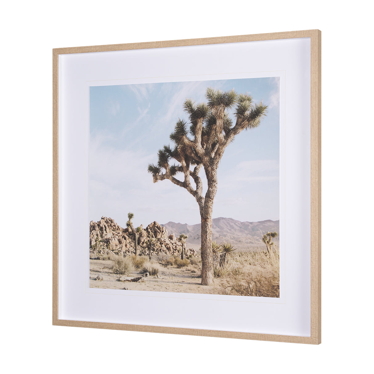 Joshua Tree 3 by THE Studio a Framed Photo Art Print Matted under Glass from Mercana - Luna Furniture