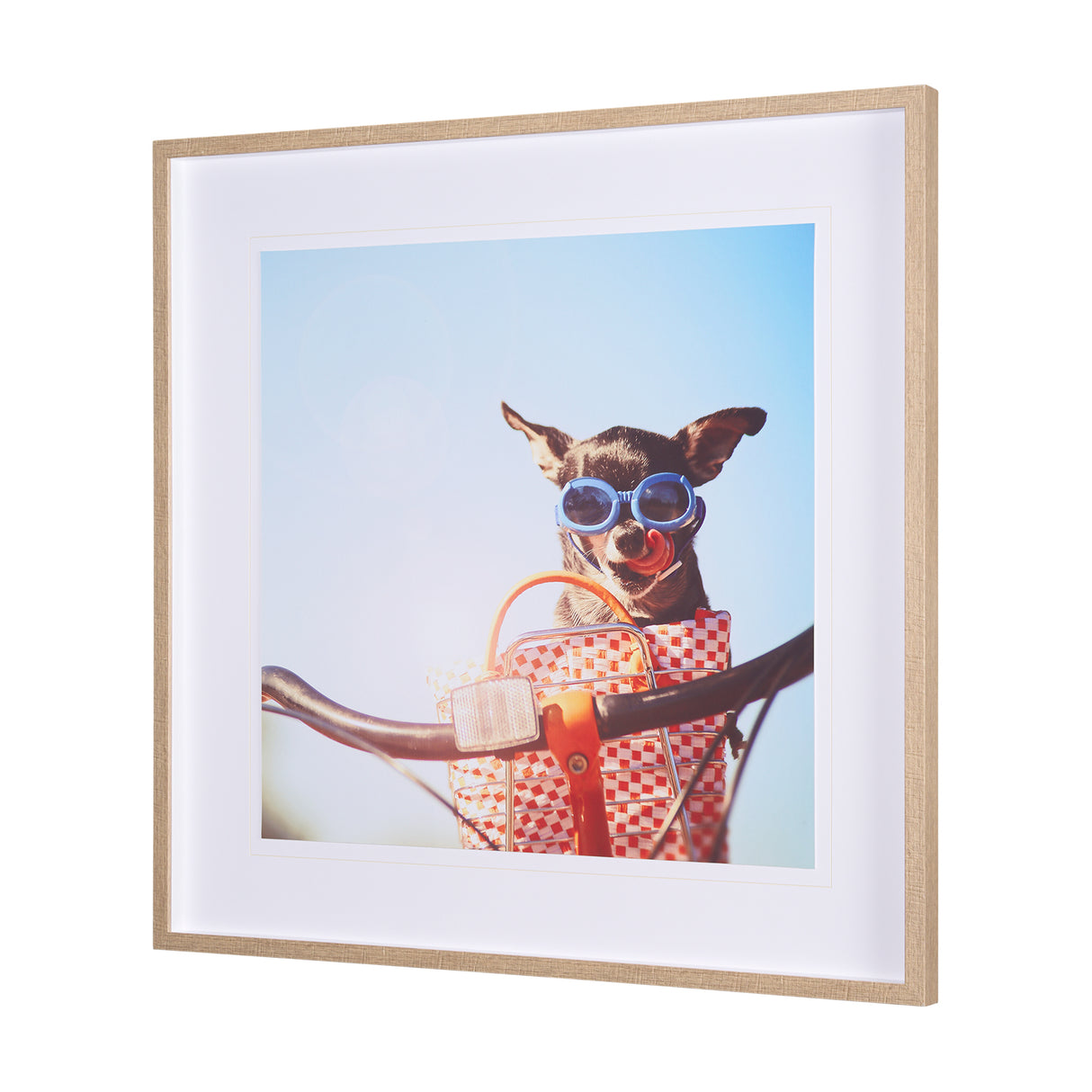 Retro Chihuahua by THE Studio a Framed Photo Art Print Matted under Glass from Mercana - Luna Furniture