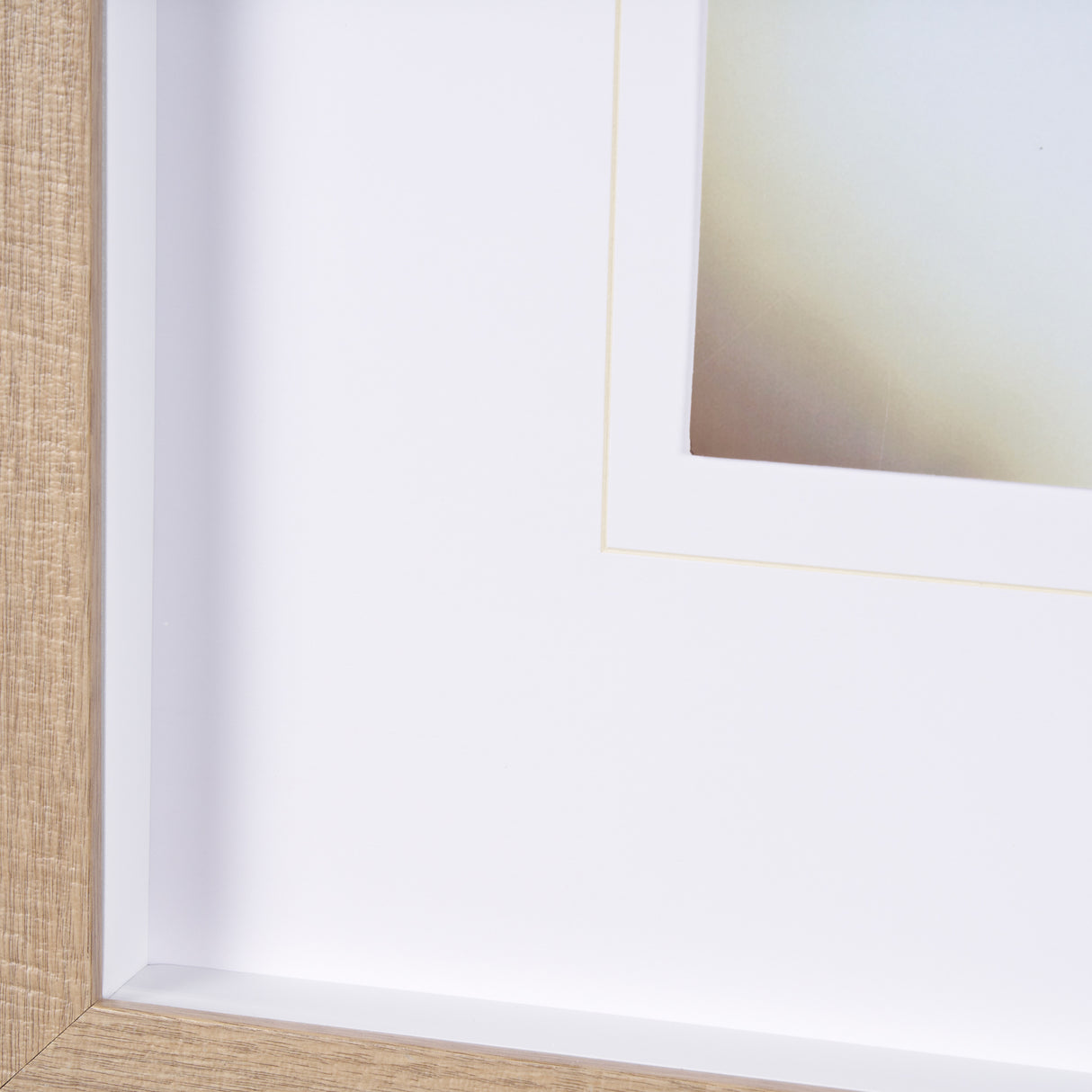 Retro Chihuahua by THE Studio a Framed Photo Art Print Matted under Glass from Mercana - Luna Furniture