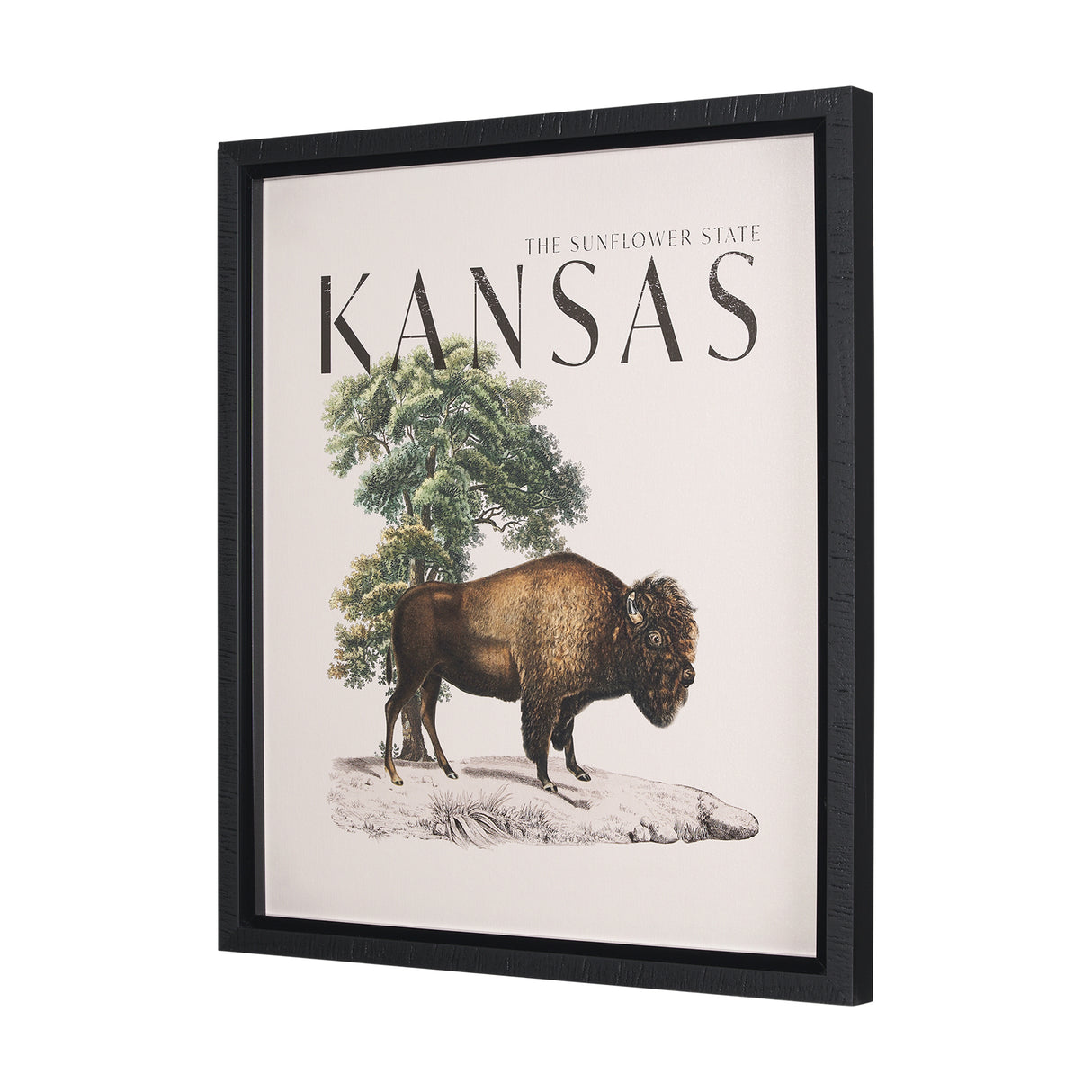 Travel Guide - Kansas by Vintage Collection a Hand Embellished Textured Framed Art Print from Mercana - Luna Furniture