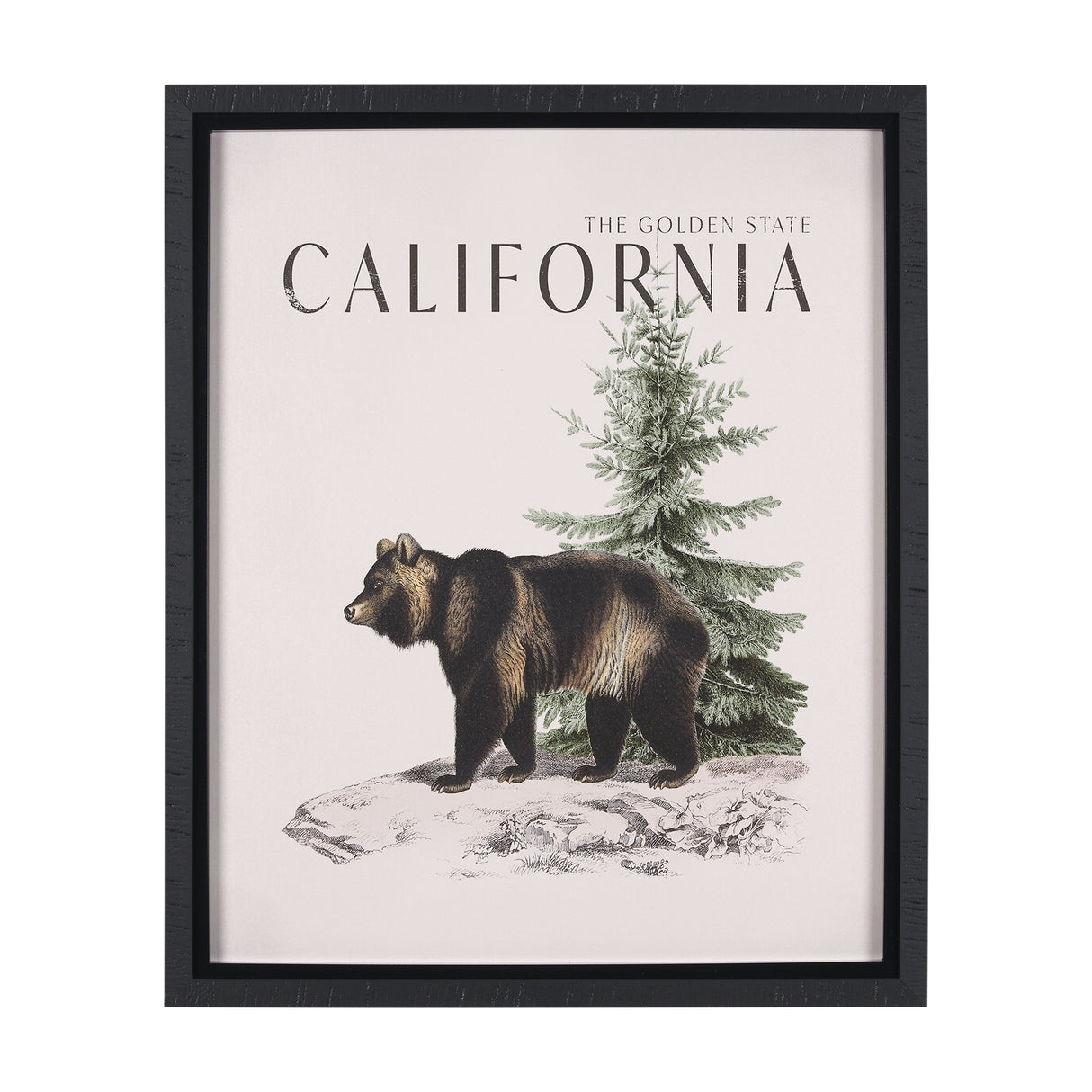 Travel Guide - California by Vintage Collection a Hand Embellished Textured Framed Art Print from Mercana - Luna Furniture