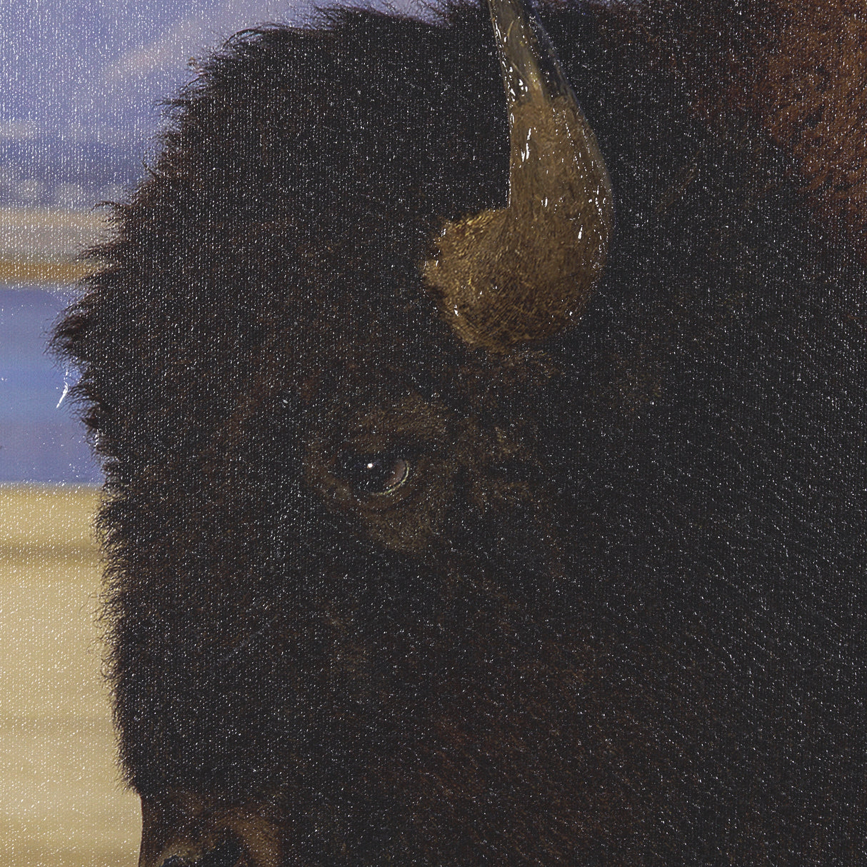 Antelope Island by Gary Blatter a Hand Embellished Textured Framed Photo Art Print from Mercana - Luna Furniture