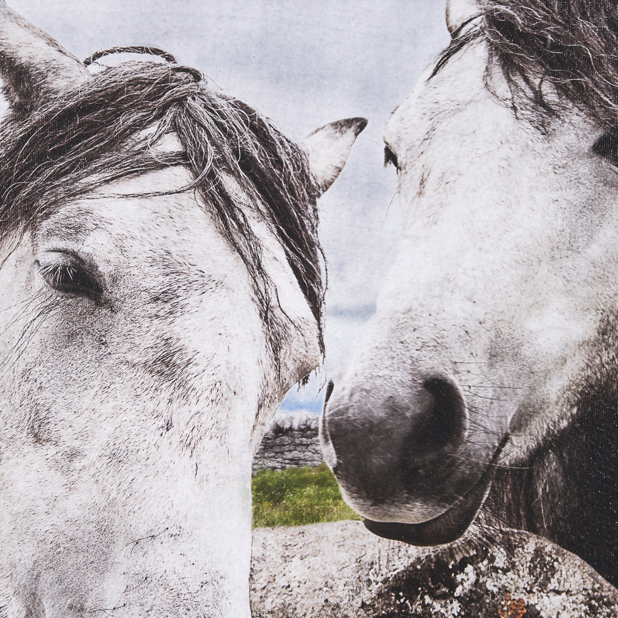 Just Let Me Scratch by Arabella Studios a Hand Embellished Textured Framed Photo Art Print from Mercana - Luna Furniture
