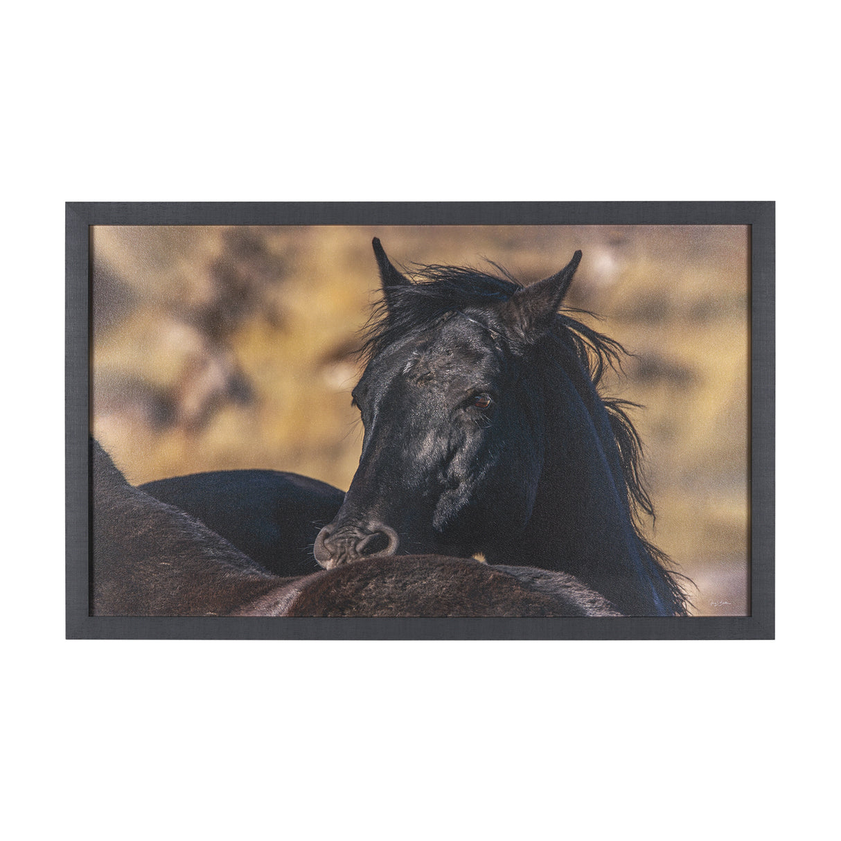 Wild Horses by Gary Blatter a Hand Embellished Textured Framed Photo Art Print from Mercana - Luna Furniture
