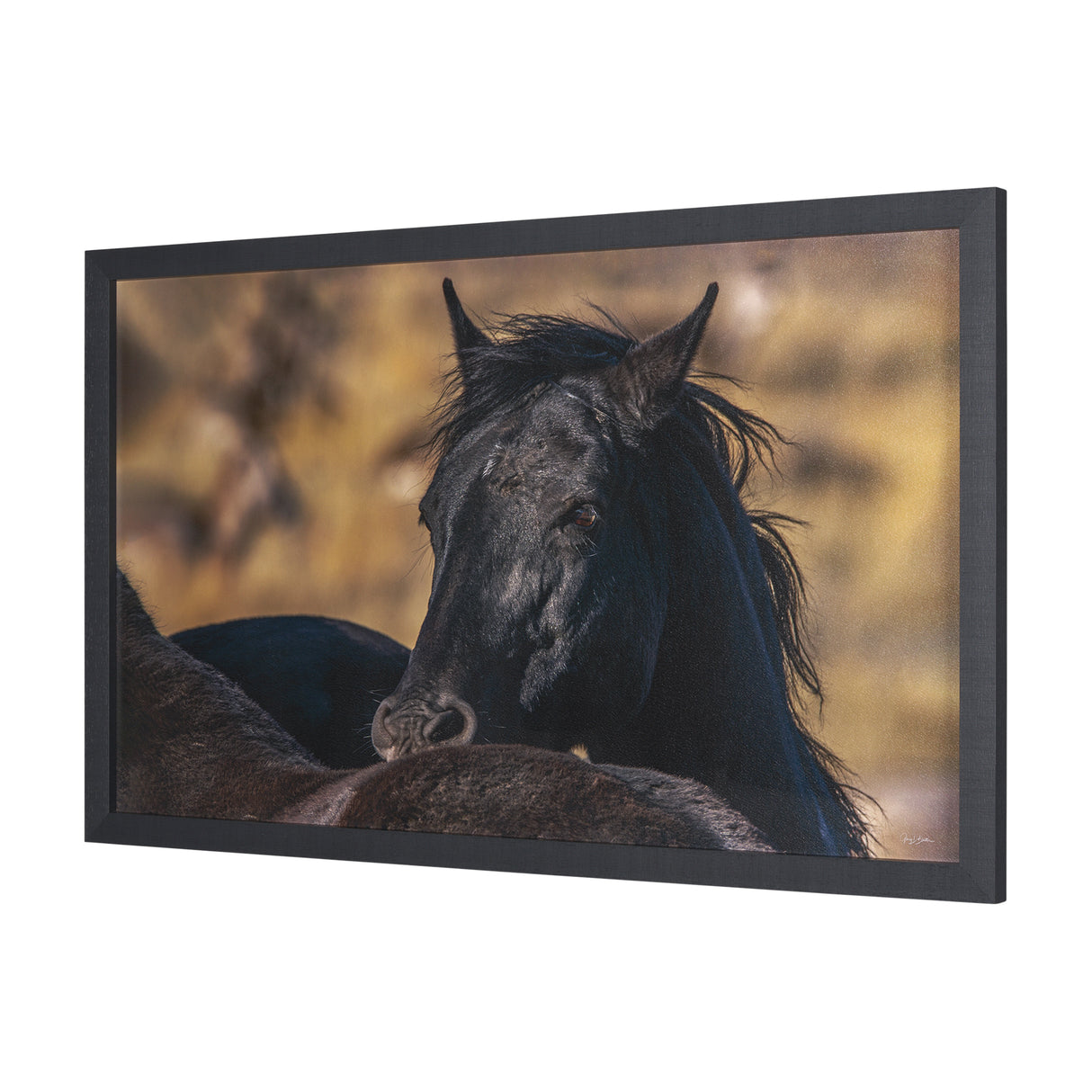 Wild Horses by Gary Blatter a Hand Embellished Textured Framed Photo Art Print from Mercana - Luna Furniture