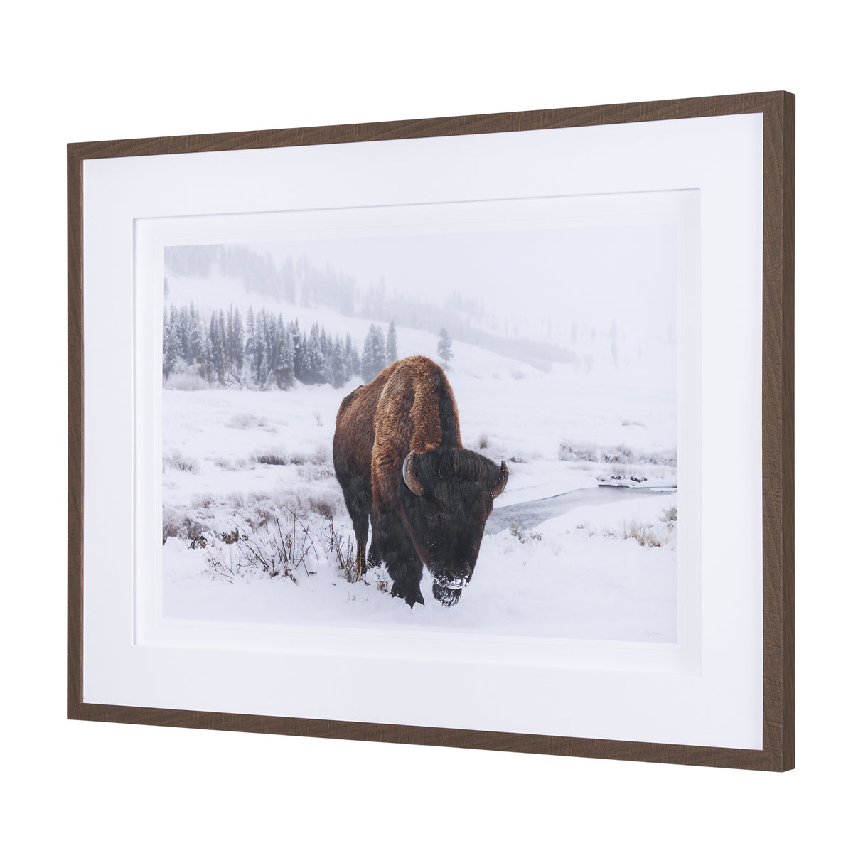Winter in Paradise by Gary Blatter a Hand Embellished Textured Framed Photo Art Print Matted under G from Mercana - Luna Furniture