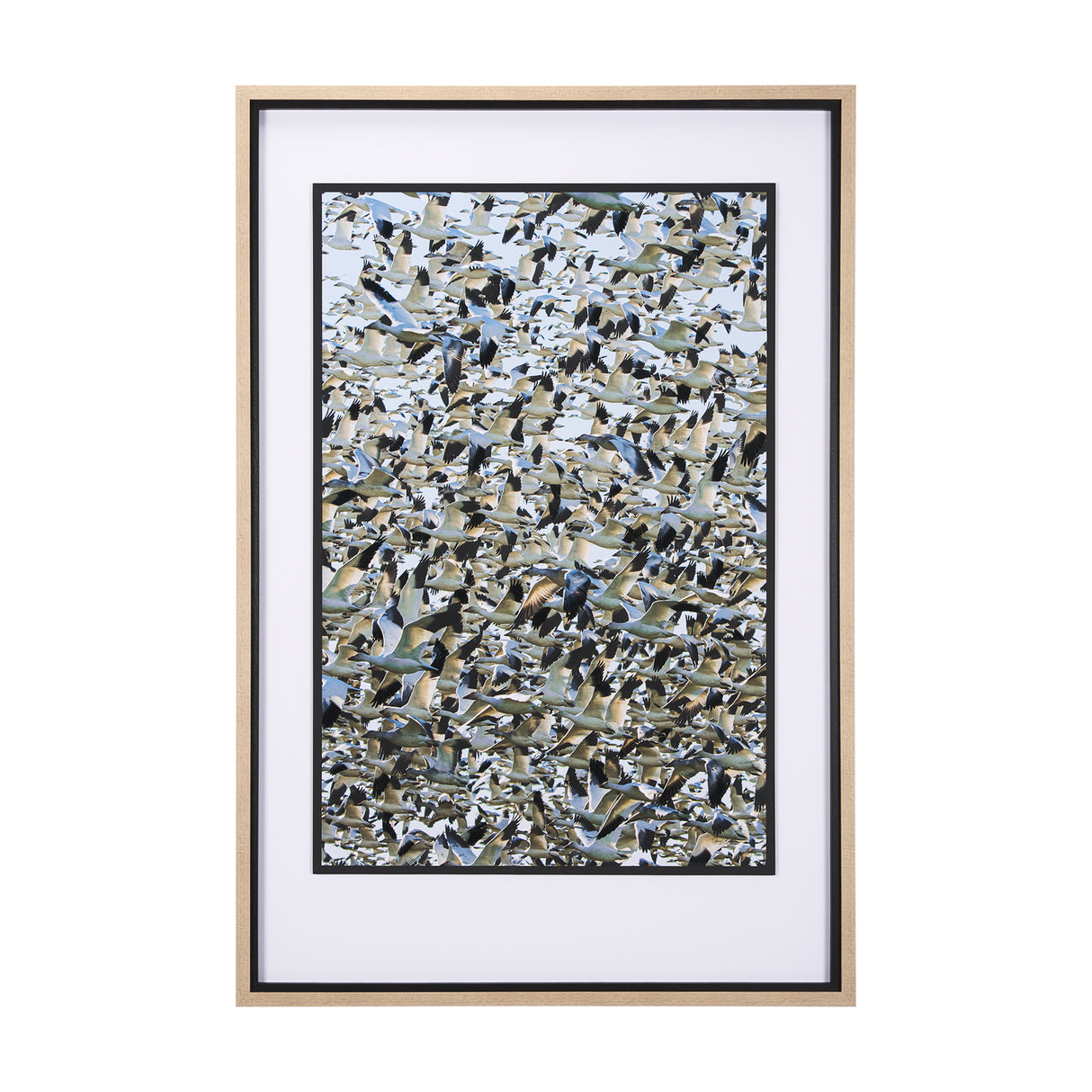 Snowgoose Migration 1 by Gary Blatter Hand Embellished Textured Framed Art Print Matted under Glass from Mercana - Luna Furniture