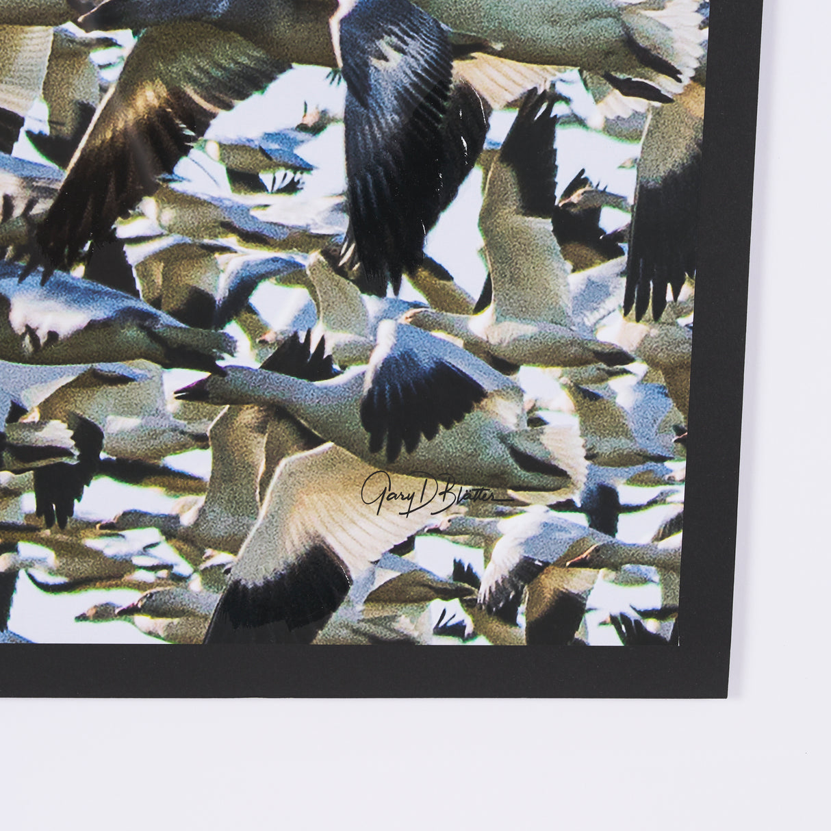 Snowgoose Migration 1 by Gary Blatter Hand Embellished Textured Framed Art Print Matted under Glass from Mercana - Luna Furniture