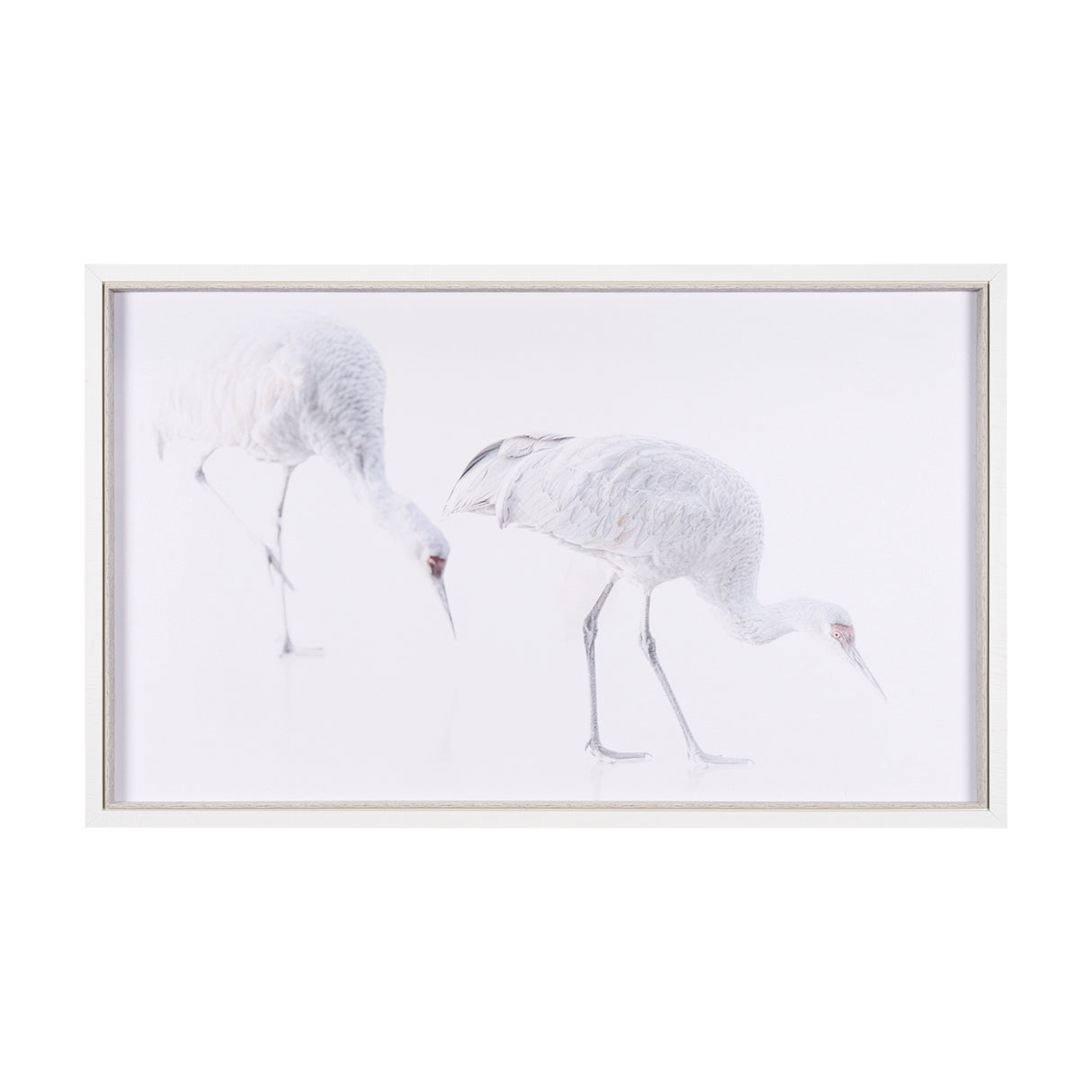Sandhill Crane I by Chad Mckay a Hand Embelished Textured Framed Photo Art Print from Mercana - Luna Furniture