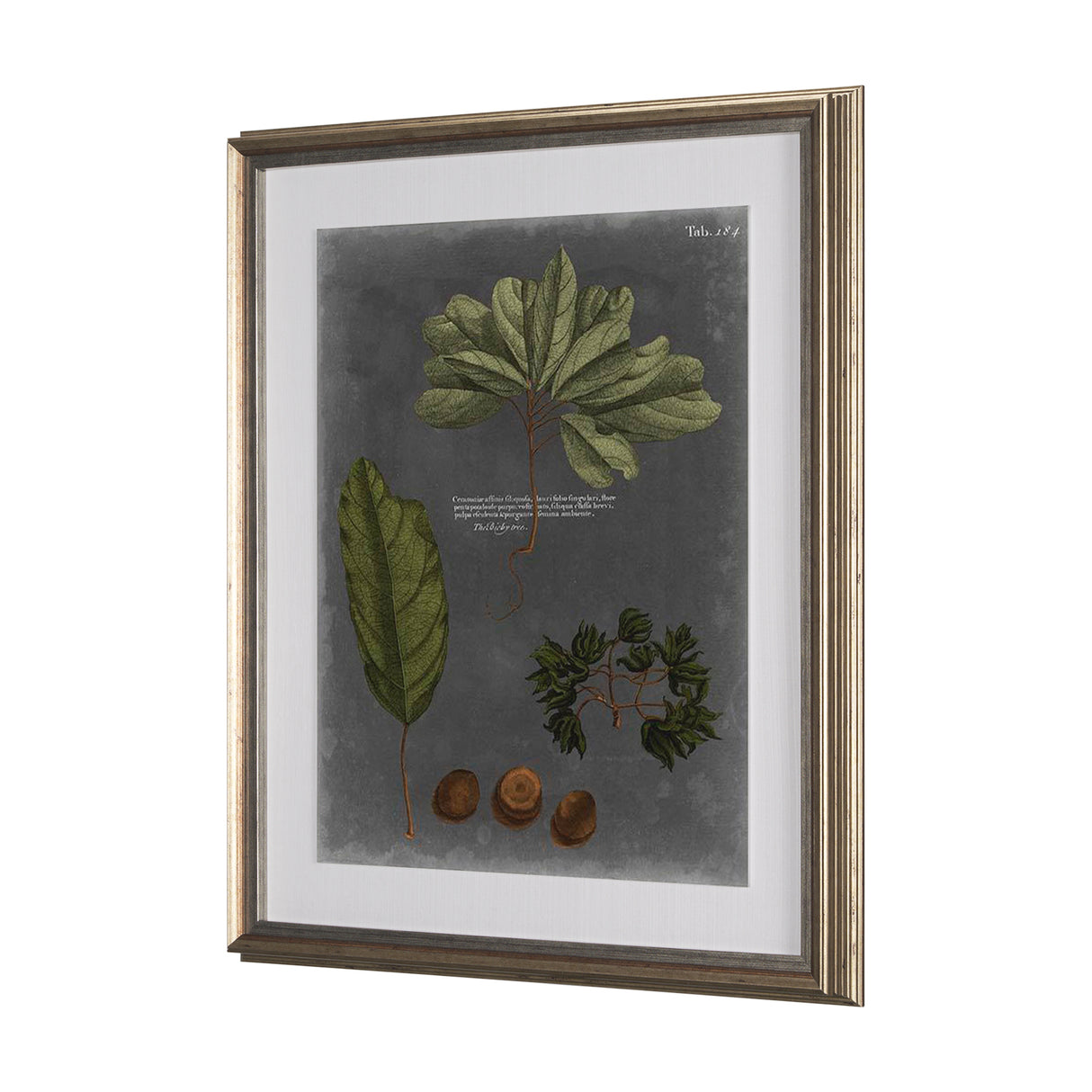 Foliage Dramatique VI by Vision Studio Hand Embellished Textured Framed Art Print Matted under Glass from Mercana - Luna Furniture