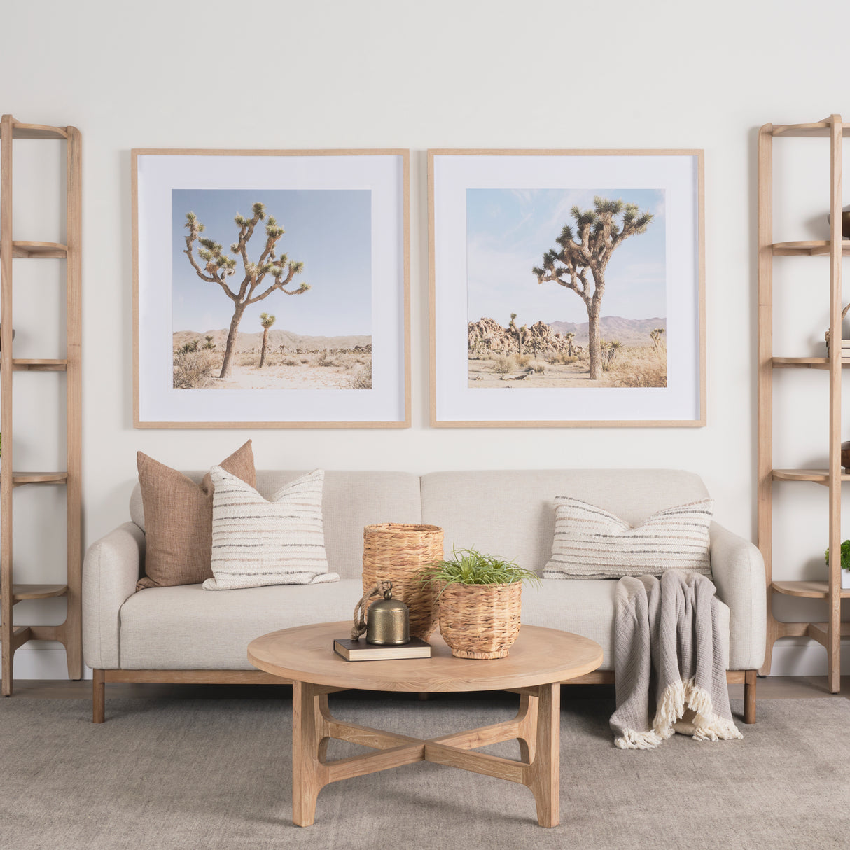 Joshua Tree 3 by THE Studio a Framed Photo Art Print Matted under Glass from Mercana - Luna Furniture