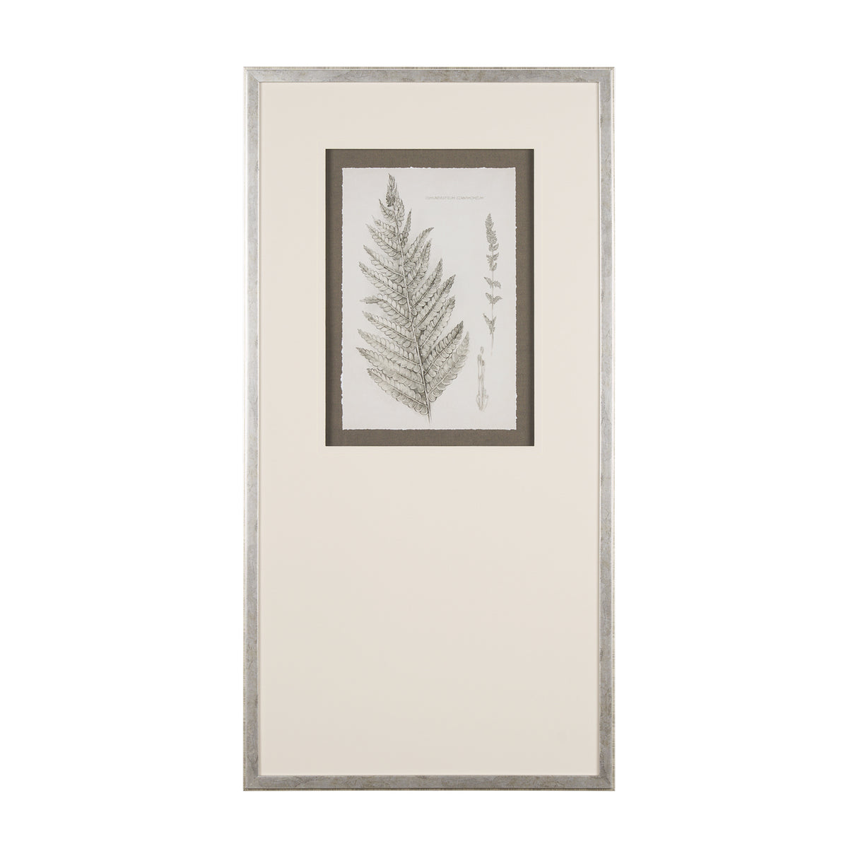 Fern Study I by Mercana Studio Hand Embelished Framed Art Print Matted under Glass from Mercana - Luna Furniture
