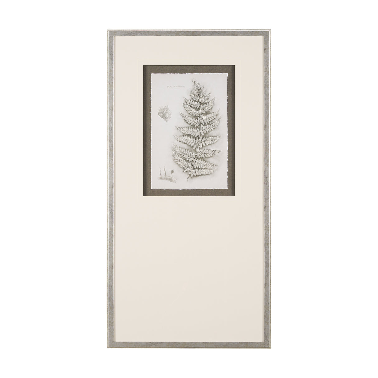 Fern Study II by Mercana Studio Hand Embelished Framed Art Print Matted under Glass from Mercana - Luna Furniture