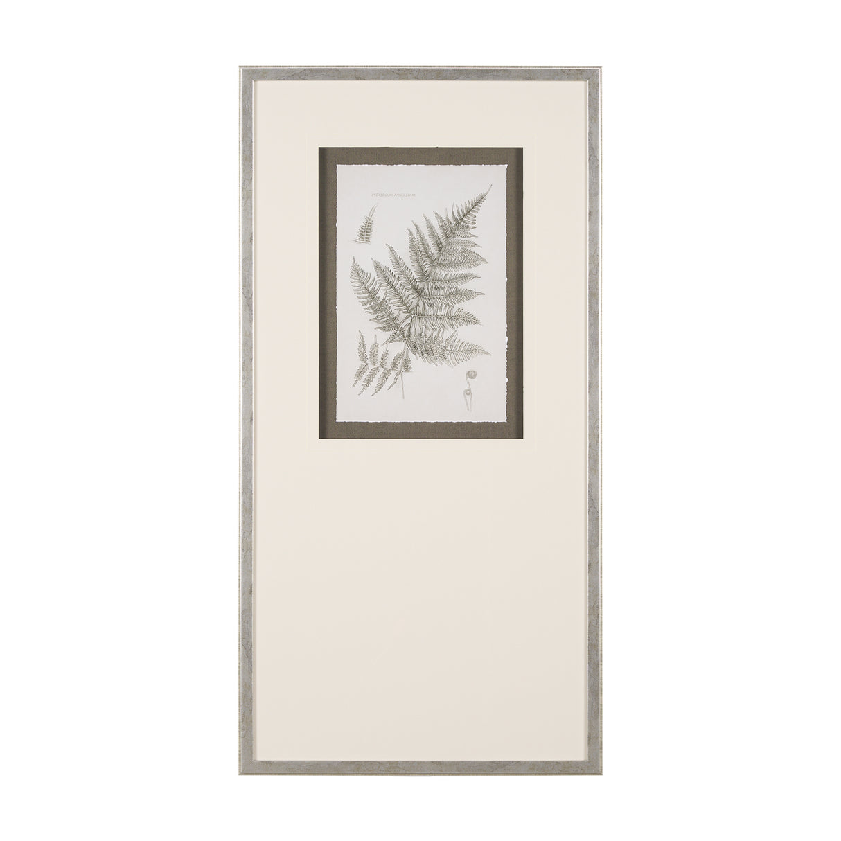 Fern Study III by Mercana Studio Hand Embelished Framed Art Print Matted under Glass from Mercana - Luna Furniture