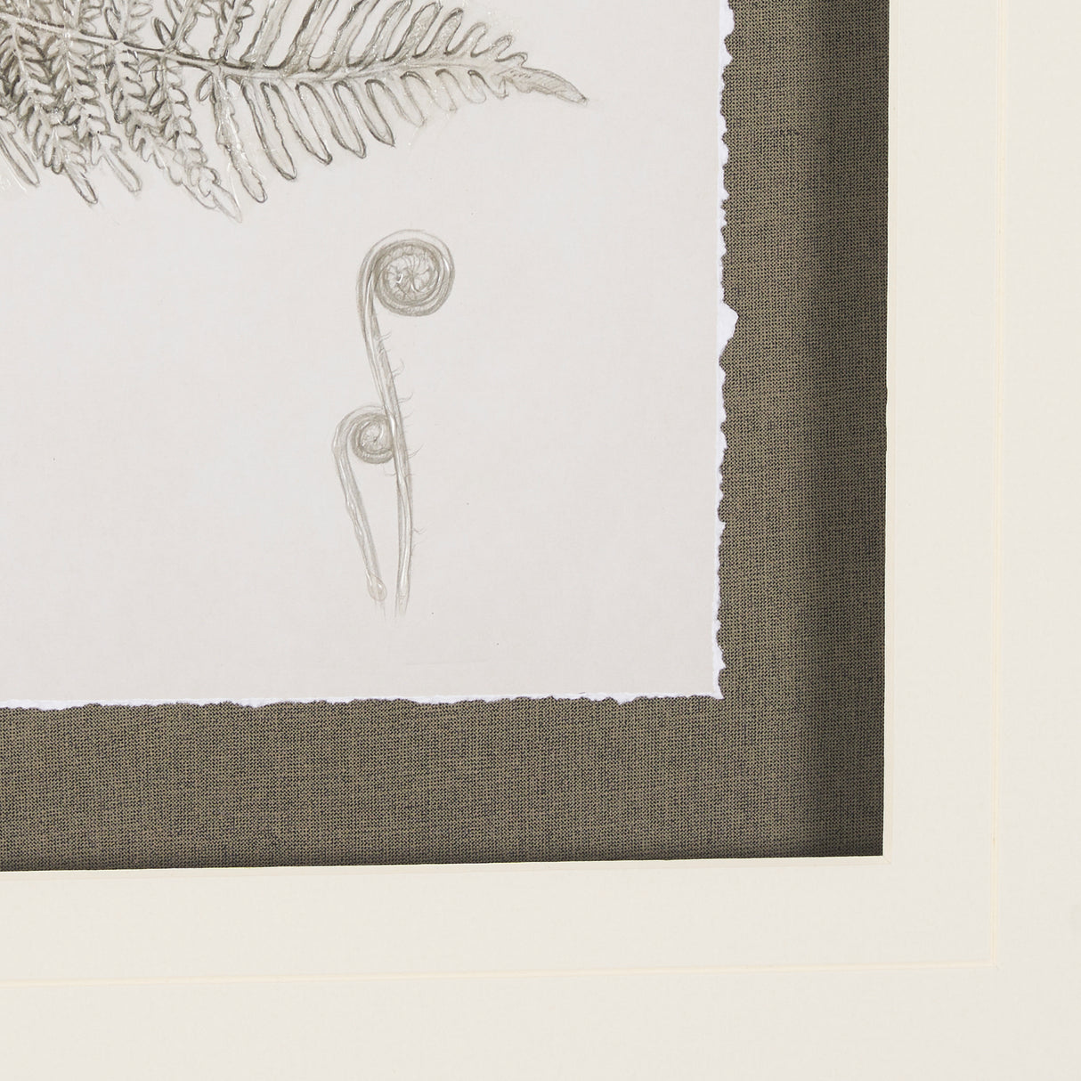 Fern Study III by Mercana Studio Hand Embelished Framed Art Print Matted under Glass from Mercana - Luna Furniture