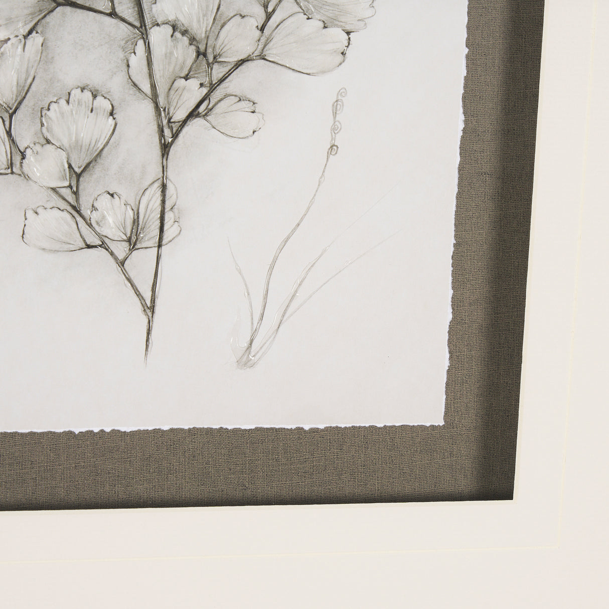 Fern Study IV (Capillus Veneris) Mercana Studio Hand Embelished Framed Art Print Matted under Glass from Mercana - Luna Furniture