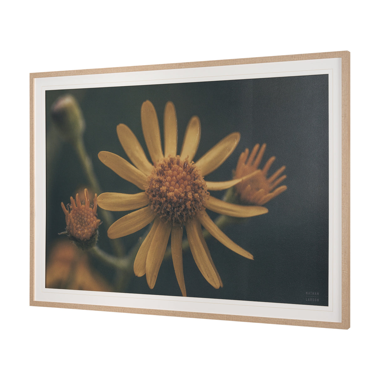 Wild Blooms II by Nathan Larson a Hand Embellished Framed Photo Art Print Matted under Glass from Mercana - Luna Furniture