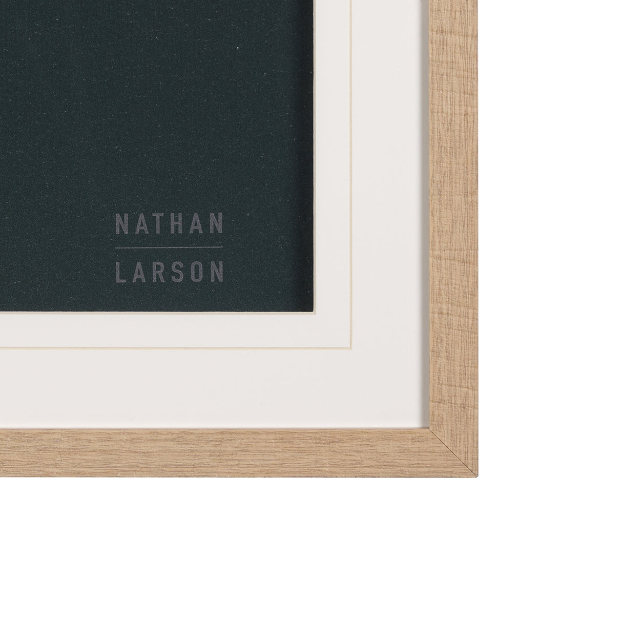 Wild Blooms II by Nathan Larson a Hand Embellished Framed Photo Art Print Matted under Glass from Mercana - Luna Furniture