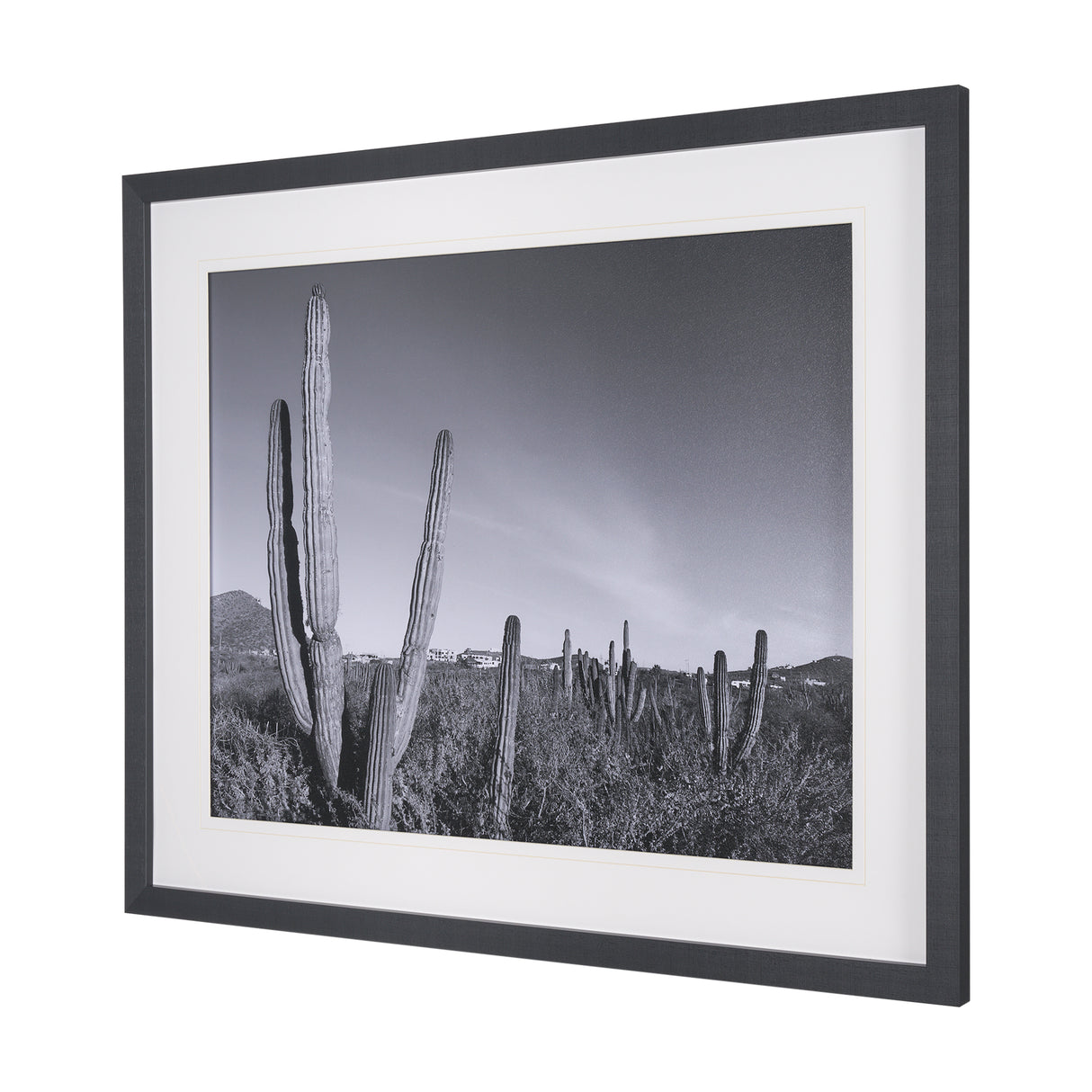 On The Ranch Cactus I by Norm Stelfox Hand Embelished Textured Framed Photo Art Print Matted under G from Mercana - Luna Furniture
