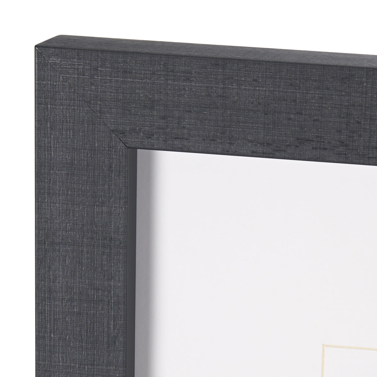 On The Ranch Cactus I by Norm Stelfox Hand Embelished Textured Framed Photo Art Print Matted under G from Mercana - Luna Furniture