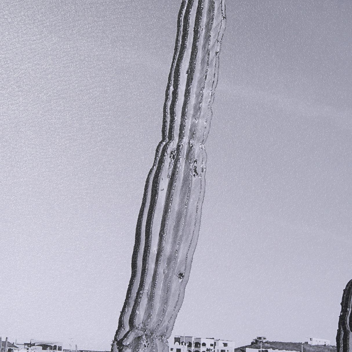 On The Ranch Cactus I by Norm Stelfox Hand Embelished Textured Framed Photo Art Print Matted under G from Mercana - Luna Furniture