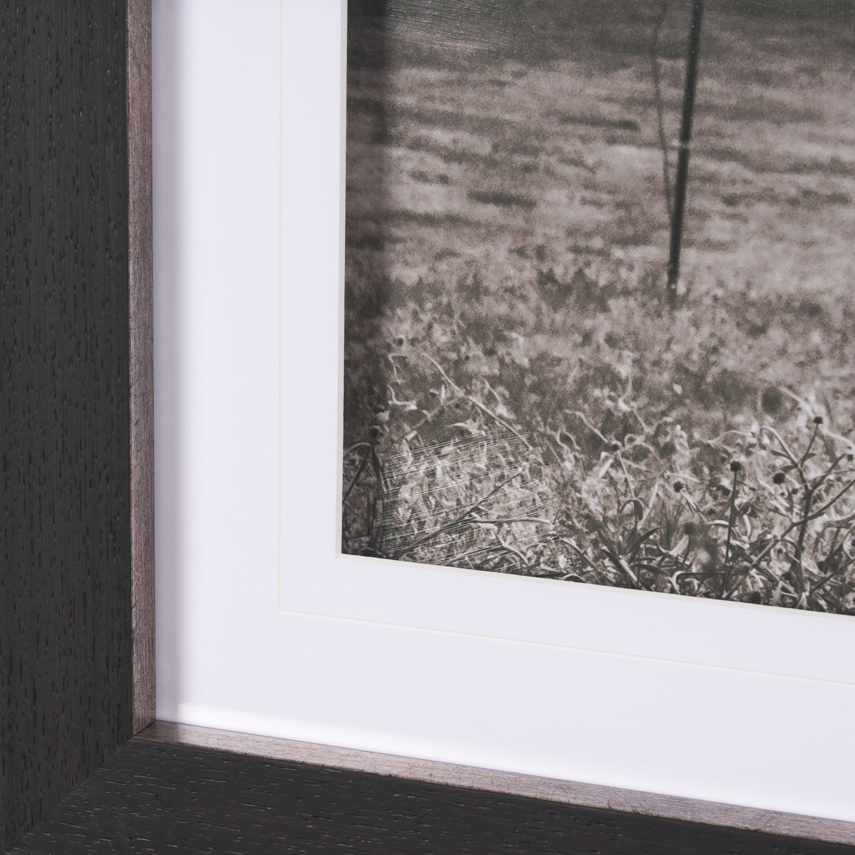Longhorn Last Call BW by Nathan Larson Hand Embelished Textured Framed Photo Art Print Matted under from Mercana - Luna Furniture