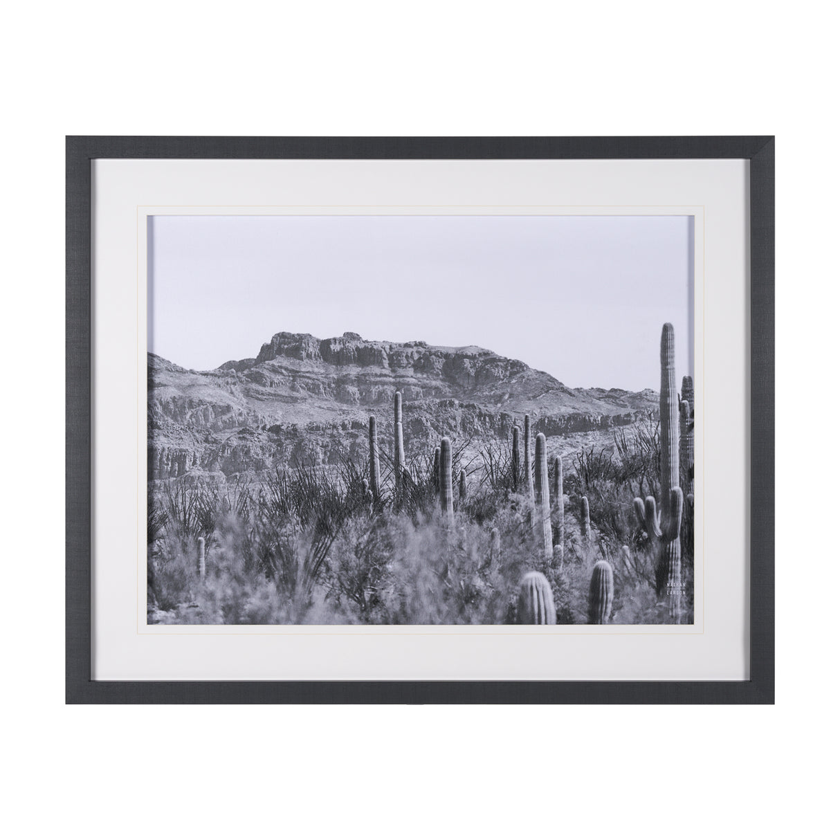 American Borderlands by Nathan Larson Hand Embelished Textured Framed Photo Art Print Matted under G from Mercana - Luna Furniture