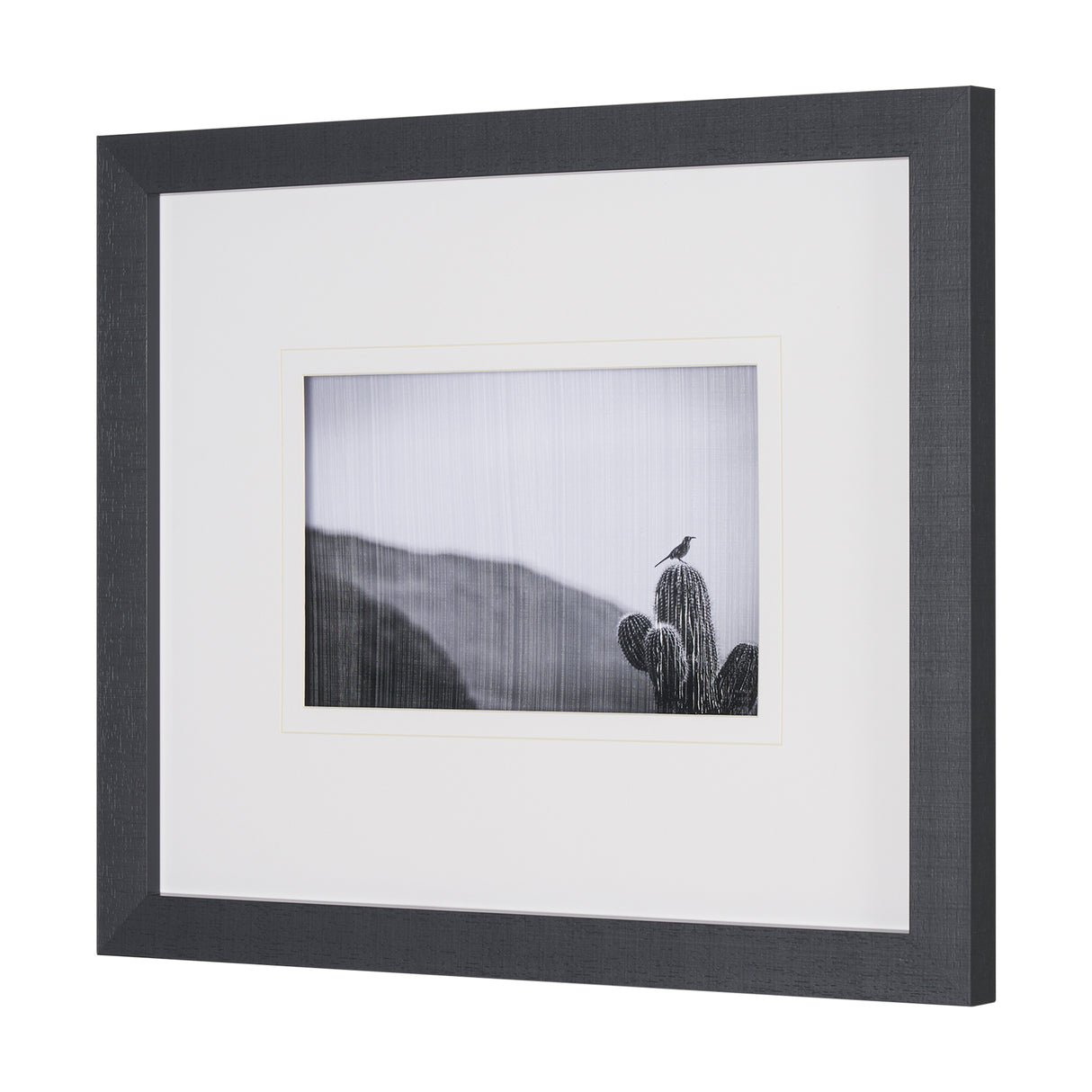 On Guard by Nathan Larson a Hand Embelished Textured Framed Photo Art Print Matted under Glass from Mercana - Luna Furniture