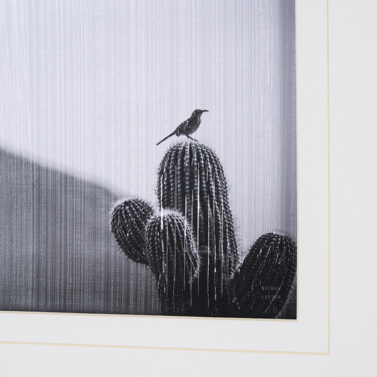 On Guard by Nathan Larson a Hand Embelished Textured Framed Photo Art Print Matted under Glass from Mercana - Luna Furniture