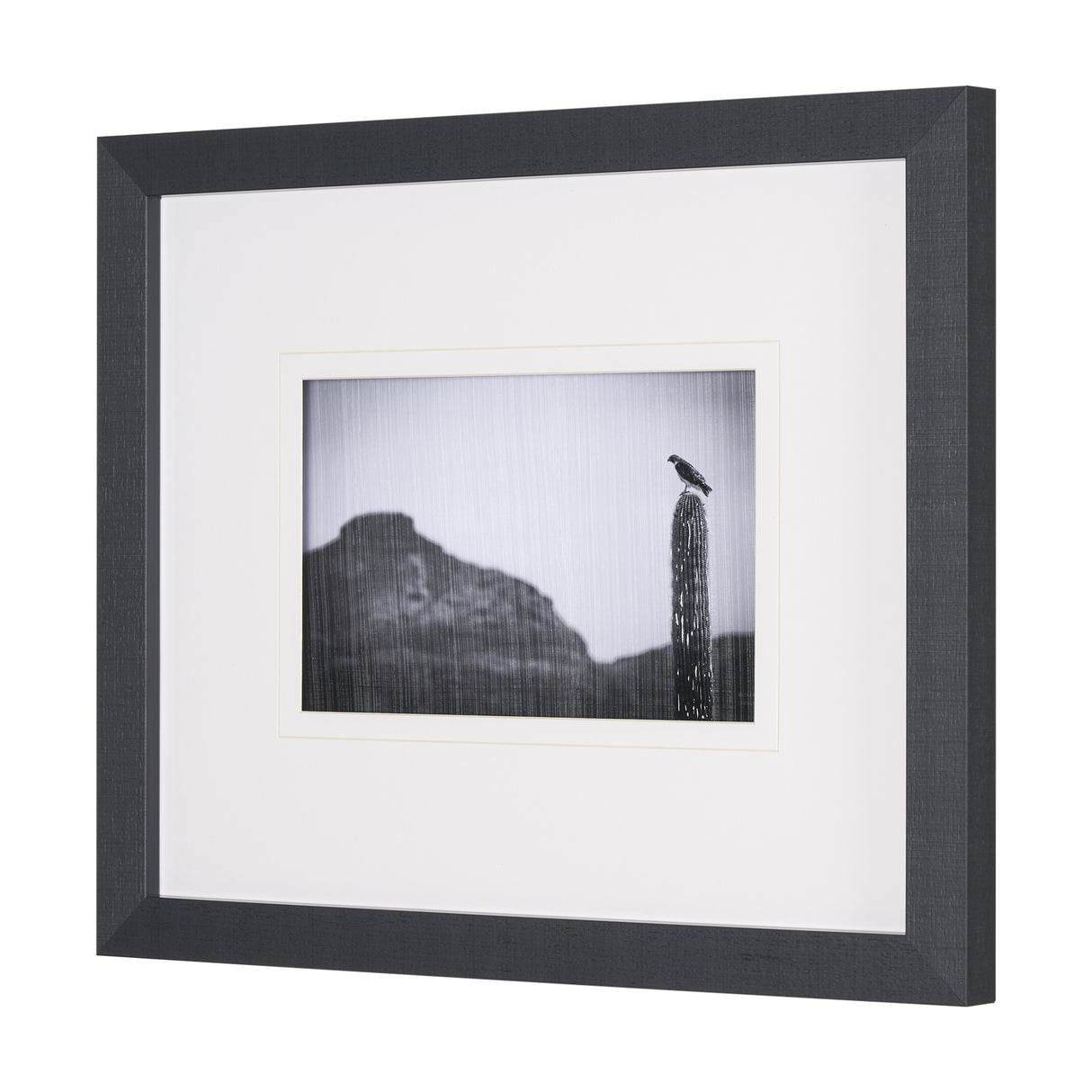 Desert Hunter by Nathan Larson a Hand Embelished Textured Framed Photo Art Print Matted under Glass from Mercana - Luna Furniture