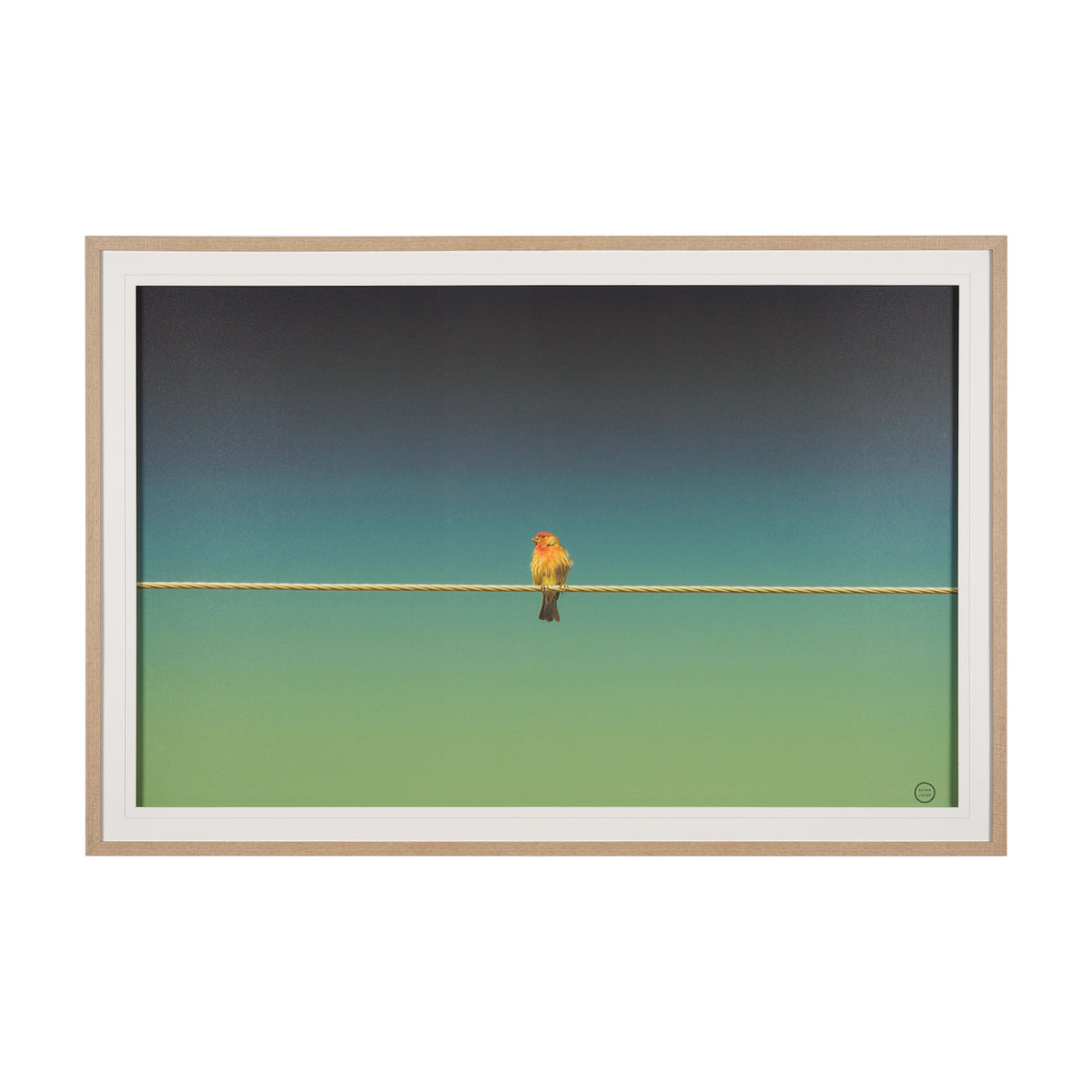 Wired Finch by Nathan Larson a Hand Embellished Framed Photo Art Print Matted under Glass from Mercana - Luna Furniture