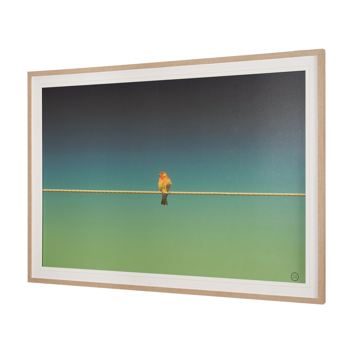Wired Finch by Nathan Larson a Hand Embellished Framed Photo Art Print Matted under Glass from Mercana - Luna Furniture