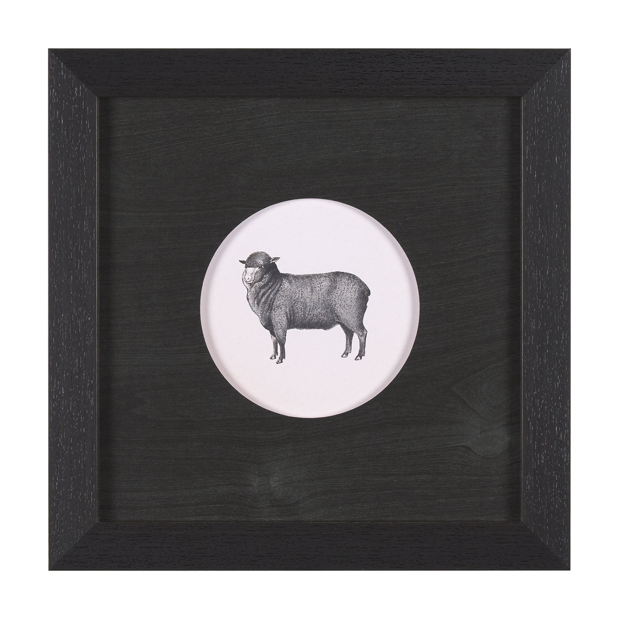 Down On The Farm II by Wild Apple Portfolio a Framed Art Print Matted under Glass from Mercana - Luna Furniture
