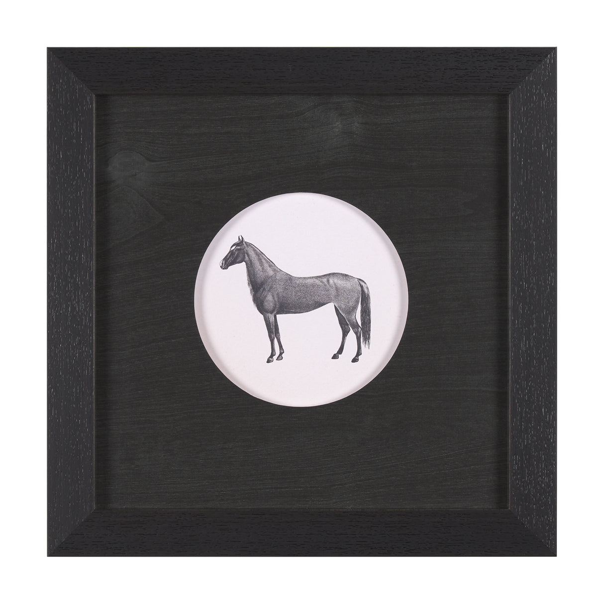 Down On The Farm IV by Wild Apple Portfolio a Framed Art Print Matted under Glass from Mercana - Luna Furniture
