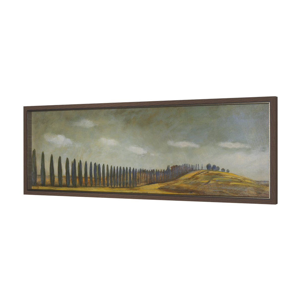 Tuscan View II by Mercana Studio a Framed Art Print from Mercana - Luna Furniture