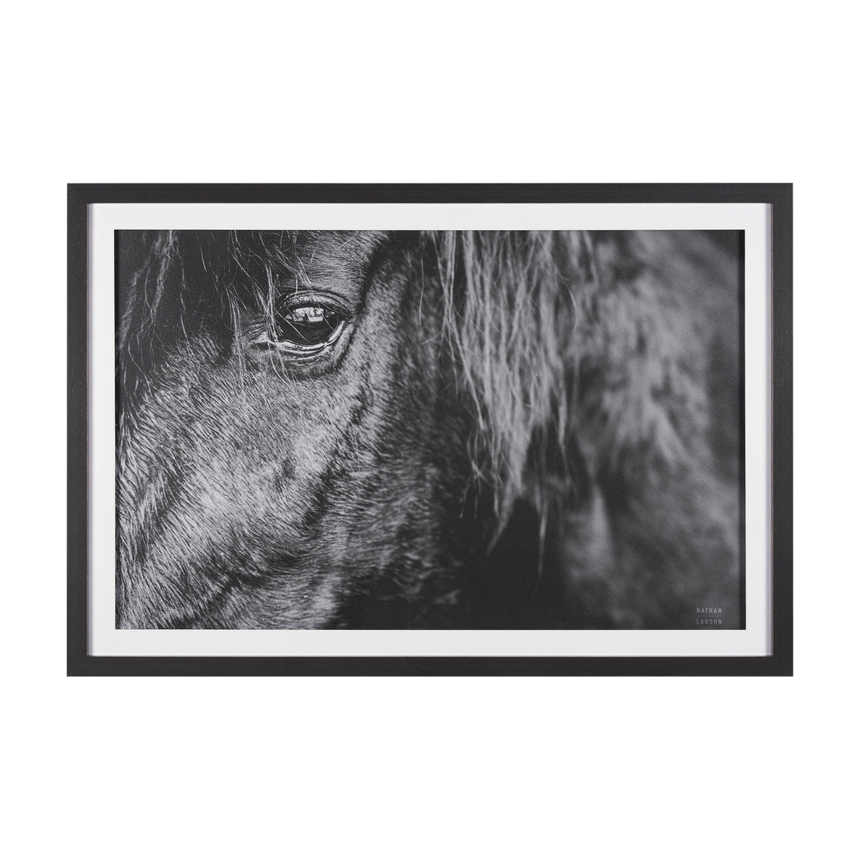 Mustang by Nathan Larson a Hand Embellished Framed Photo Art Print Matted under Glass from Mercana - Luna Furniture