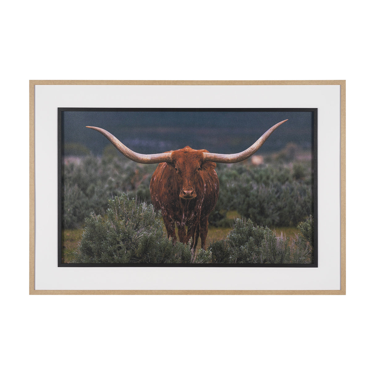 Longhorn 5 by Gary Blatter a Hand Embellished Framed Photo Art Print Matted under Glass from Mercana - Luna Furniture