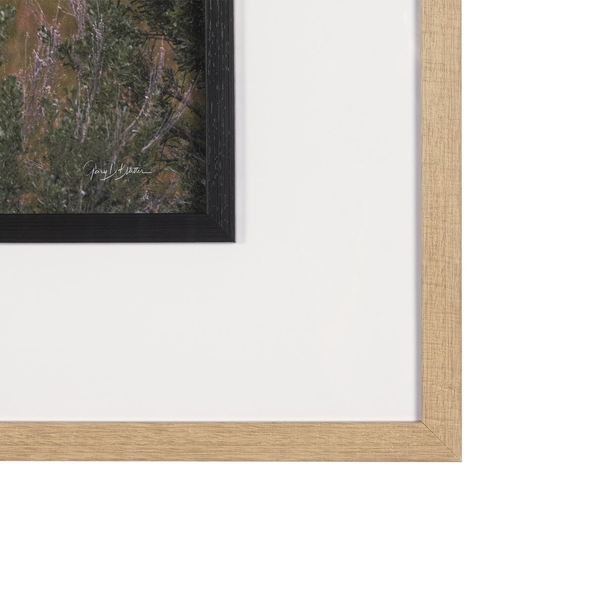 Longhorn 5 by Gary Blatter a Hand Embellished Framed Photo Art Print Matted under Glass from Mercana - Luna Furniture