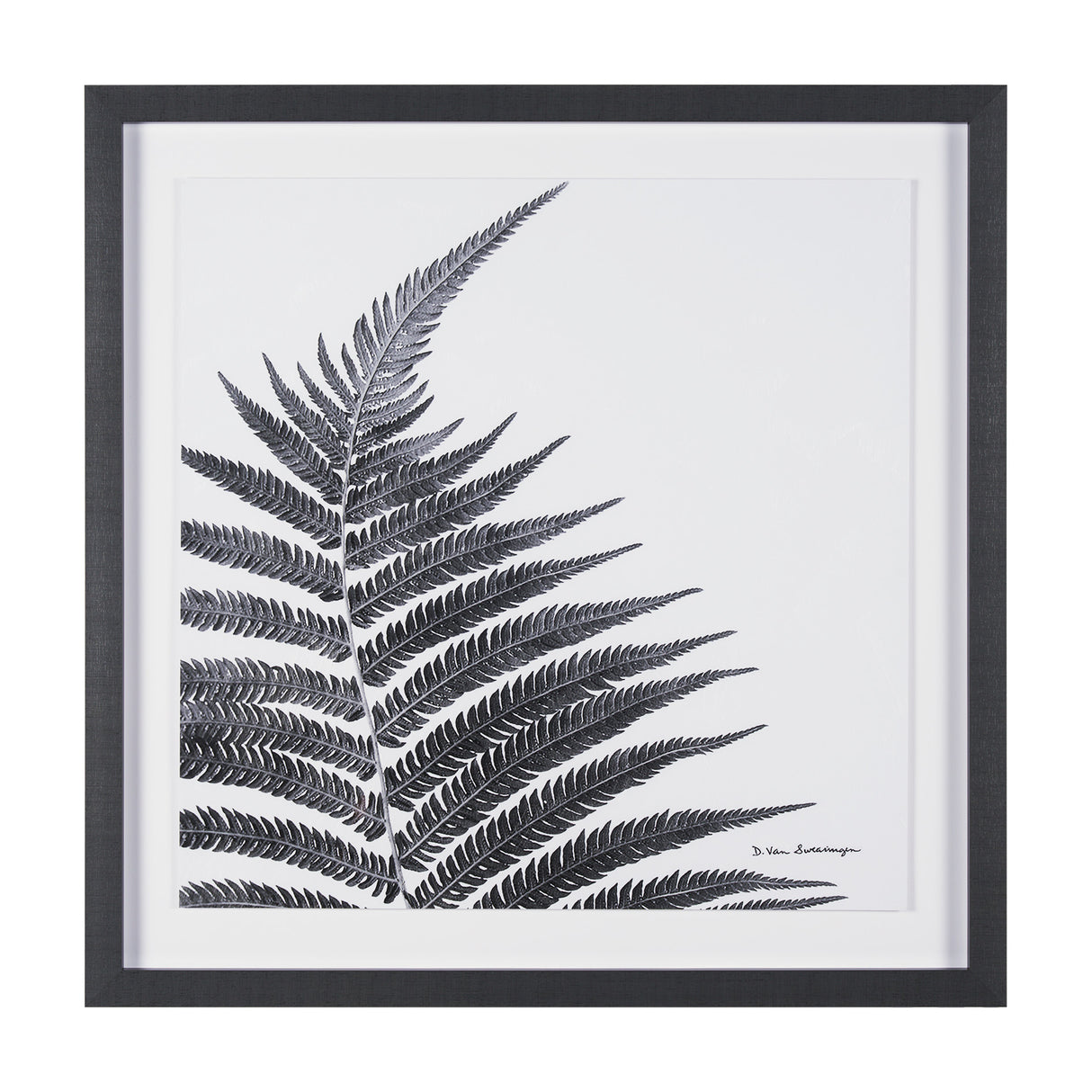 Truth by Debra Van Swearingen a Hand Embellished Framed Photo Art Print Matted under Glass from Mercana - Luna Furniture