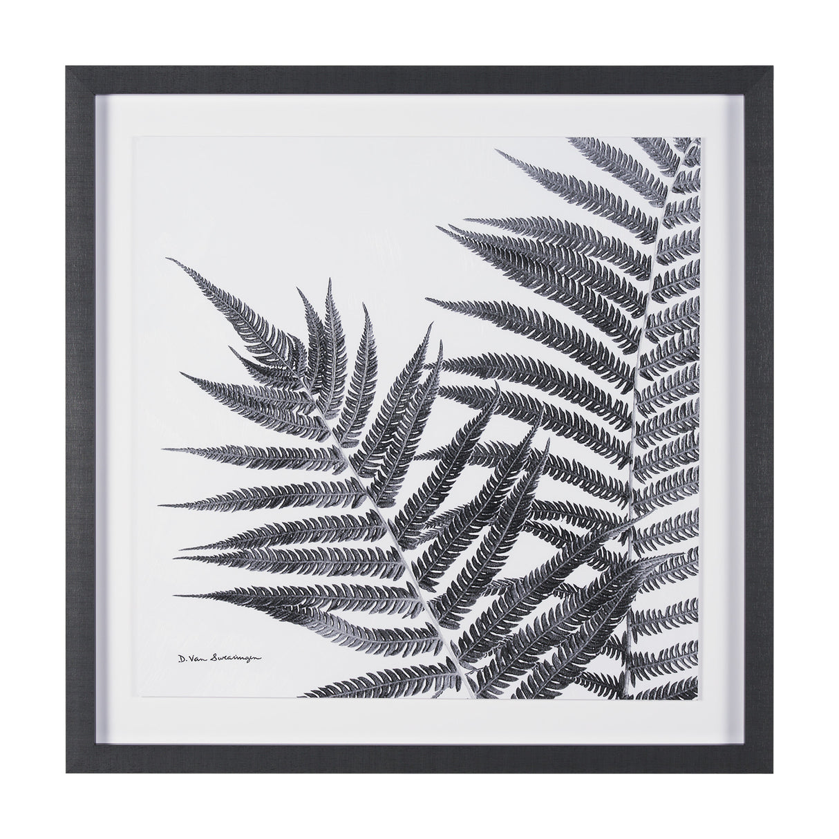 Aspire by Debra Van Swearingen a Hand Embellished Framed Photo Art Print Matted under Glass from Mercana - Luna Furniture