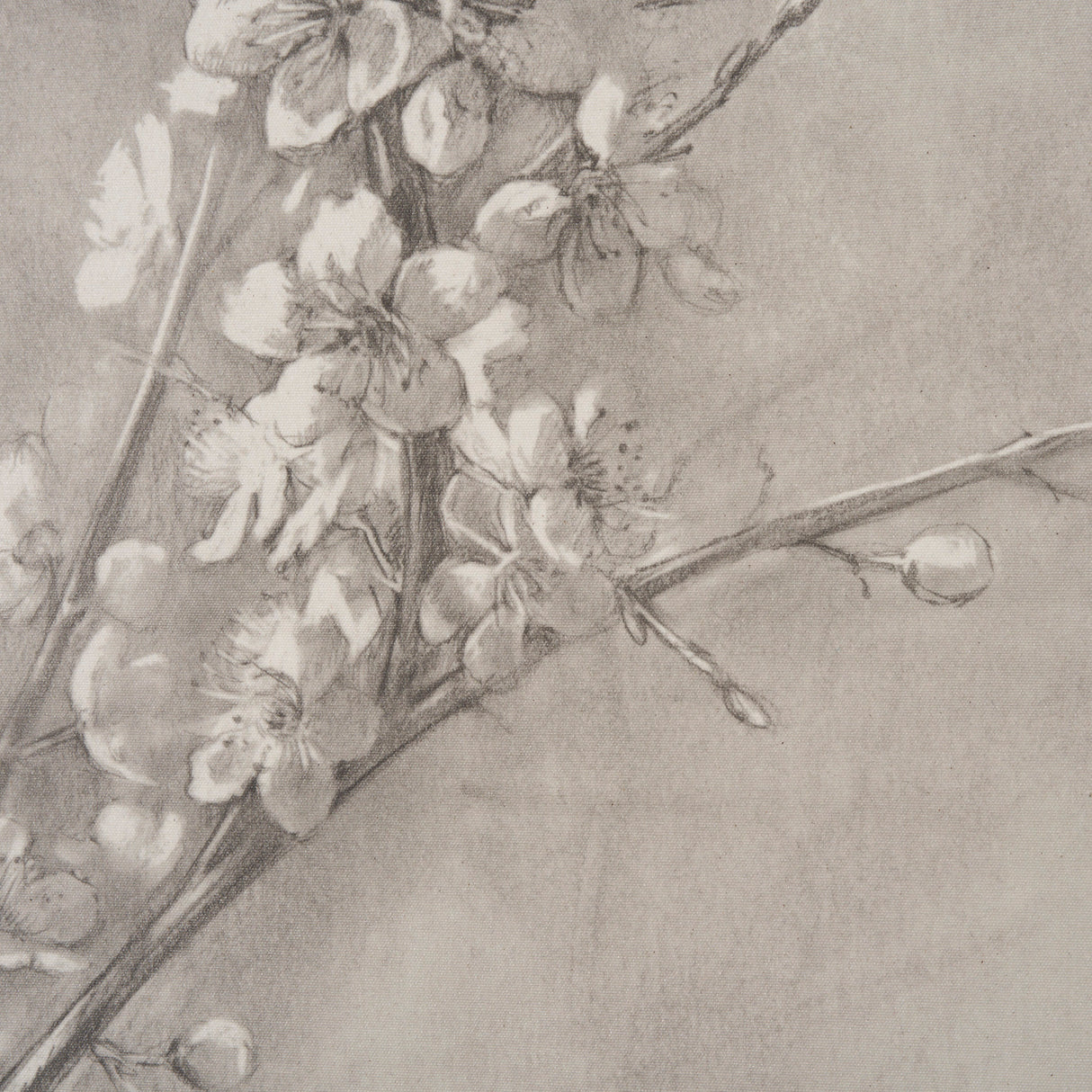 Cherry Blossom Sketch I by Mercana Studio a Hand Embellished Framed Art Print from Mercana - Luna Furniture