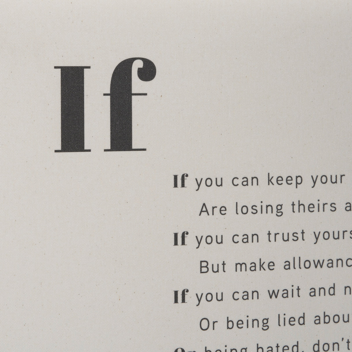 If You Can by Mercana Studio a Hand Embellished Framed Art Print Matted under Glass from Mercana - Luna Furniture