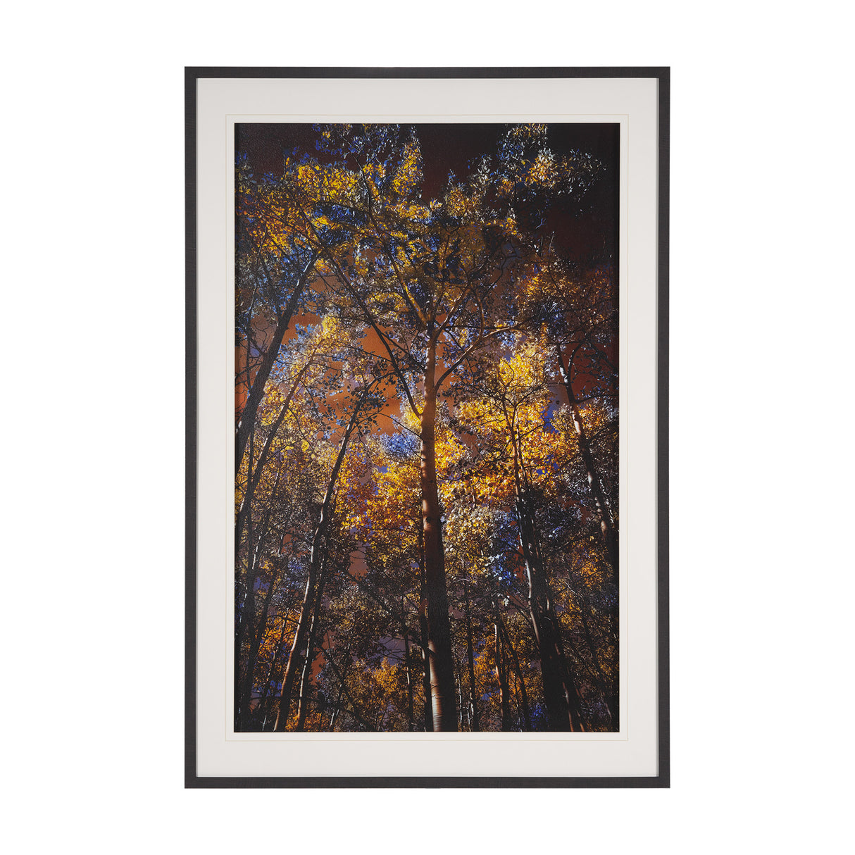Leafy Shelter by Bobbie Goodrich a Hand Embellished Framed Photo Art Print Matted under Glass from Mercana - Luna Furniture