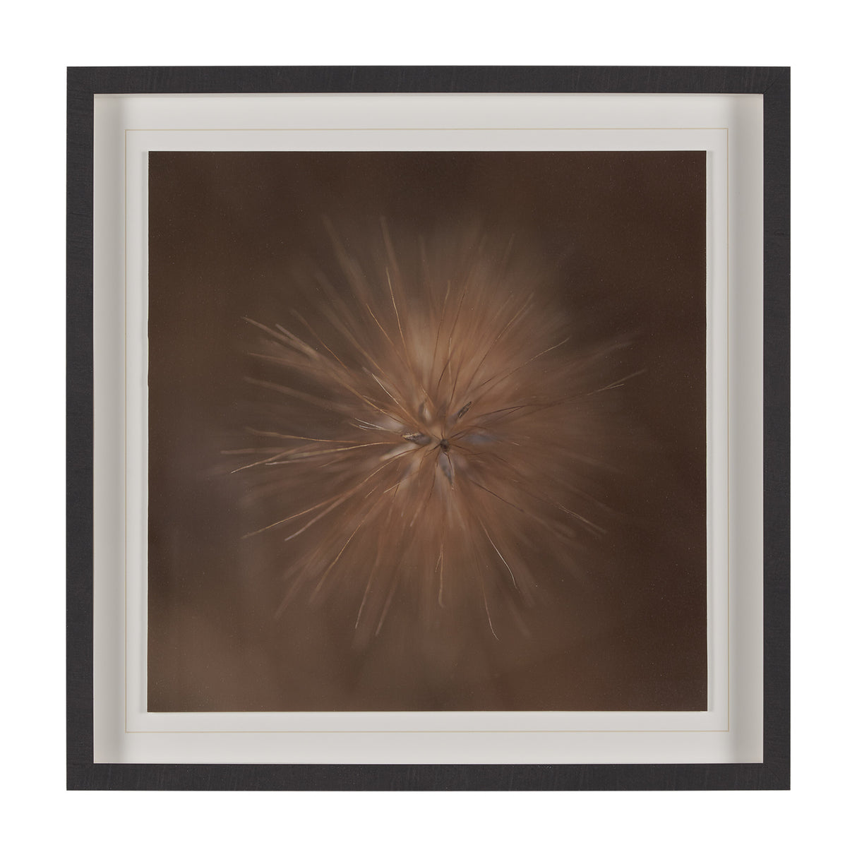 Curious by Stig Kalvelid a Hand Embellished Framed Photo Art Print Matted under Glass from Mercana - Luna Furniture