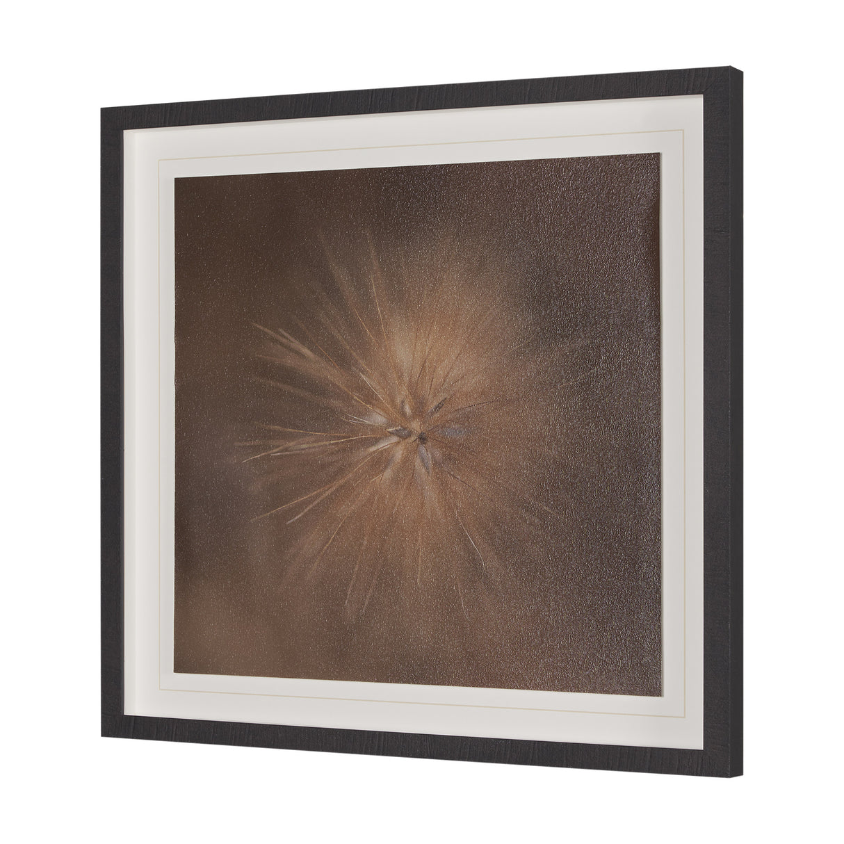 Curious by Stig Kalvelid a Hand Embellished Framed Photo Art Print Matted under Glass from Mercana - Luna Furniture