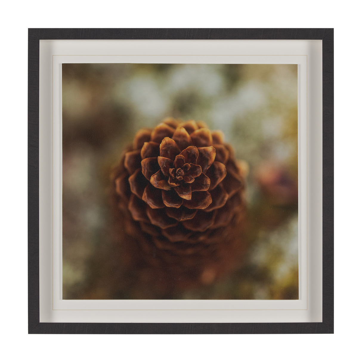 Down to Earth by Stig Kalvelid a Hand Embellished Framed Photo Art Print Matted under Glass from Mercana - Luna Furniture