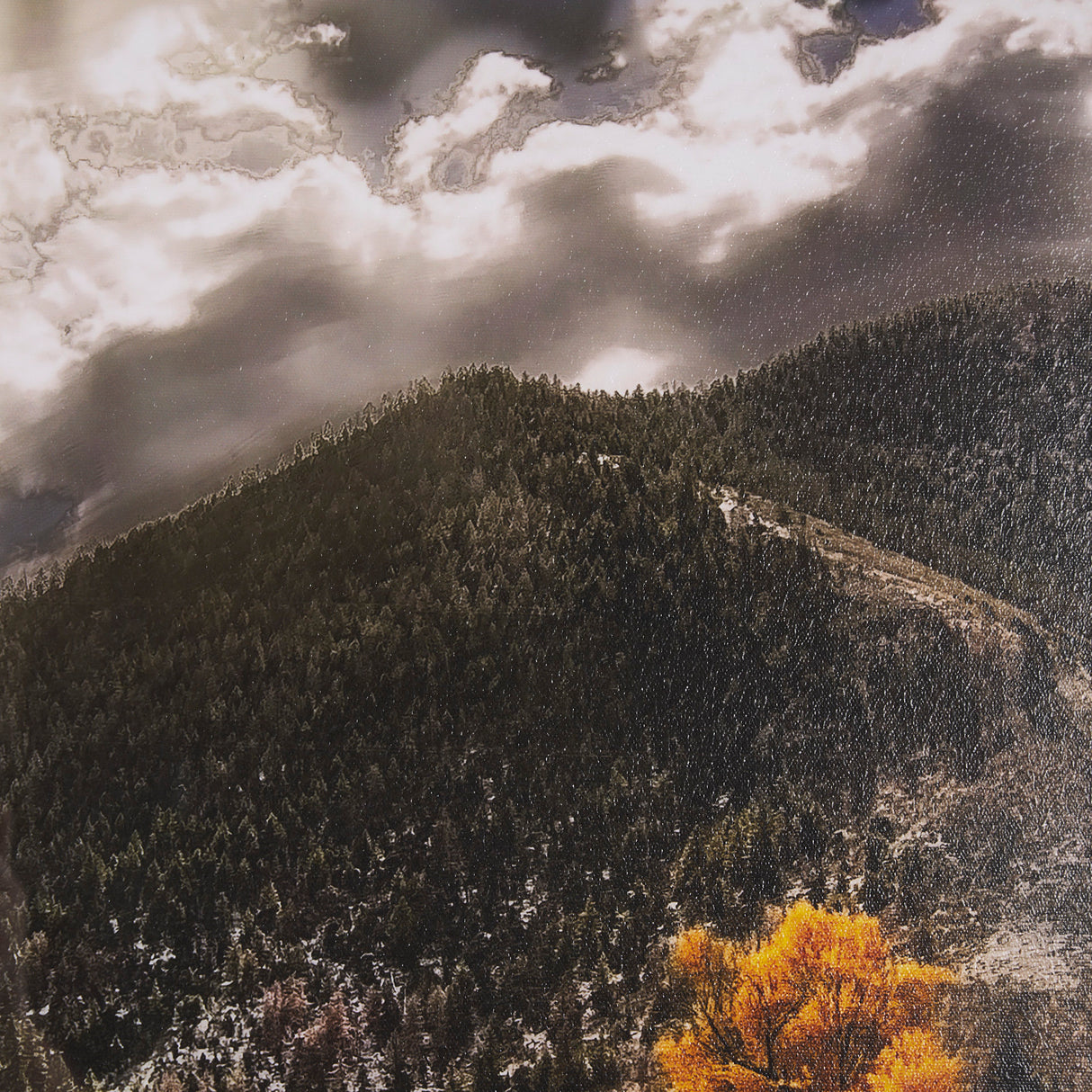 Summit Trail by Bobbie Goodrich a Hand Embellished Framed Photo Art Print Matted under Glass from Mercana - Luna Furniture