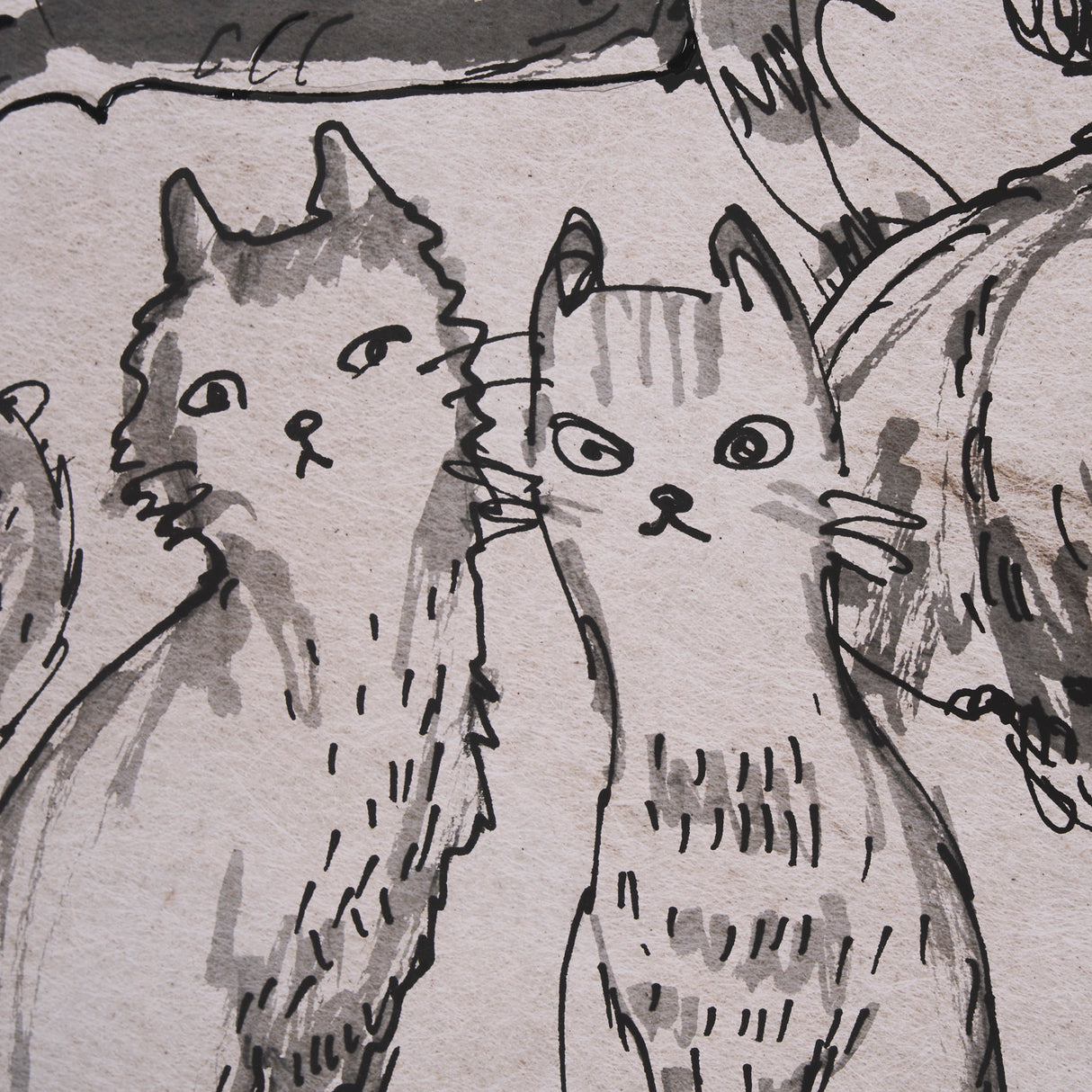 Cat Sketch by Mercana Studio a Hand Embellished Framed Art Print Matted under Glass from Mercana - Luna Furniture