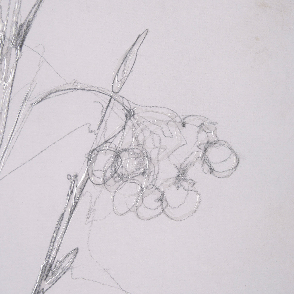 Chokecherry 1 by Mercana Studio a Hand Embellished Framed Art Print Matted under Glass from Mercana - Luna Furniture