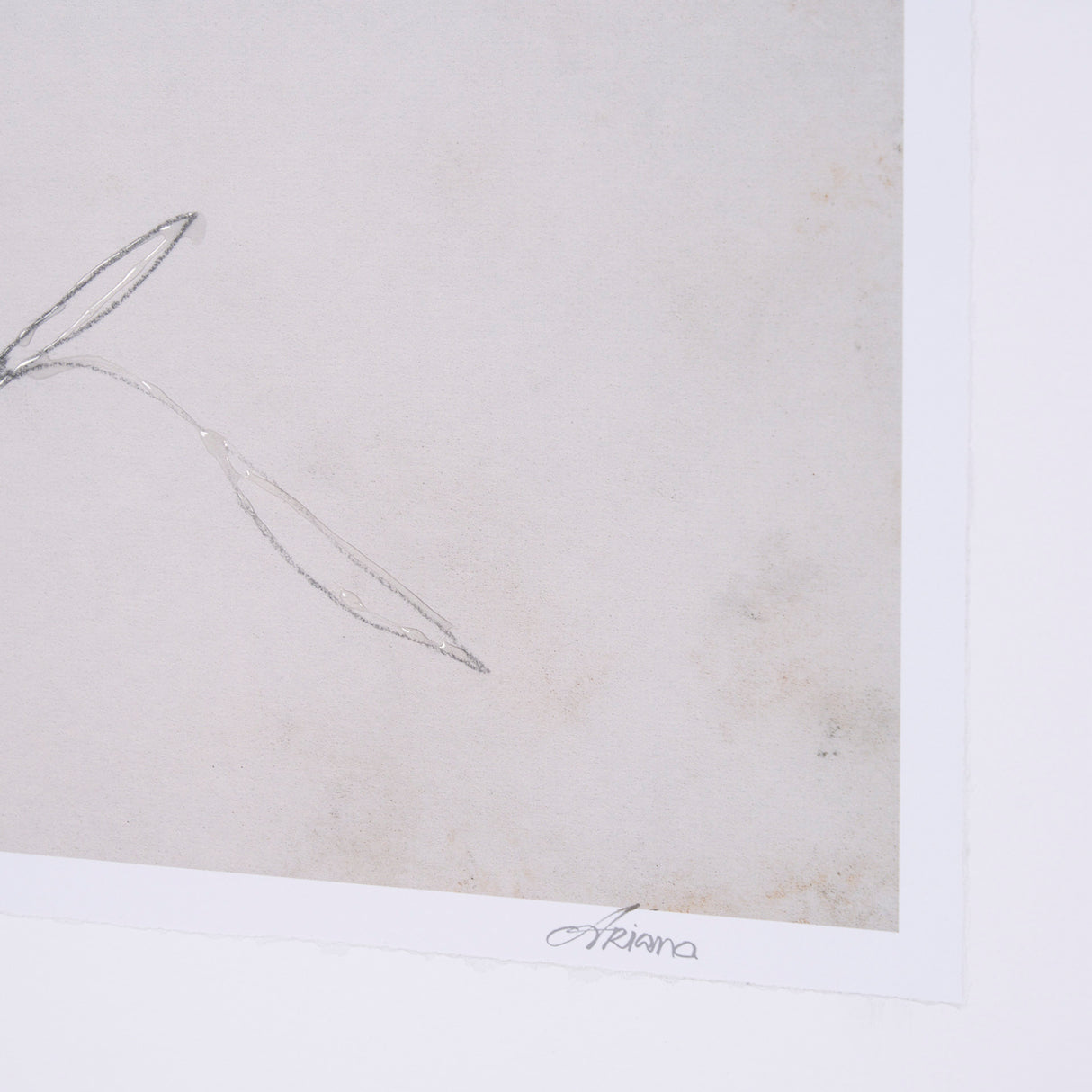 Chokecherry 3 by Mercana Studio a Hand Embellished Framed Art Print Matted under Glass from Mercana - Luna Furniture